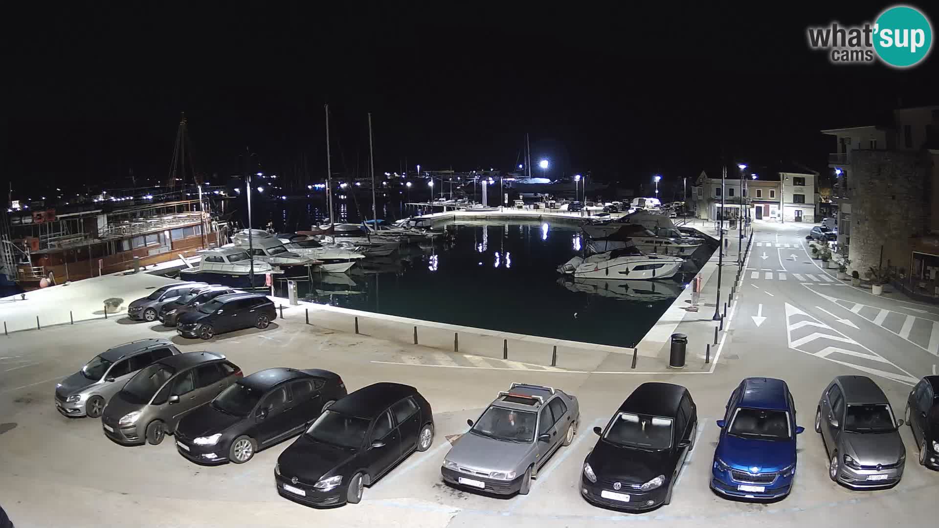 Novigrad | Porporela marina