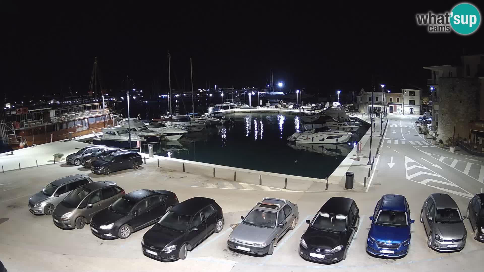 Novigrad | Porporela marina