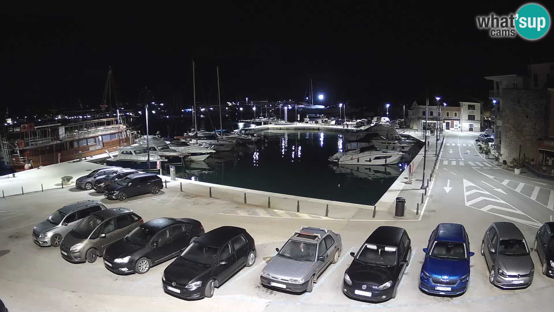 Novigrad | Porporela marina