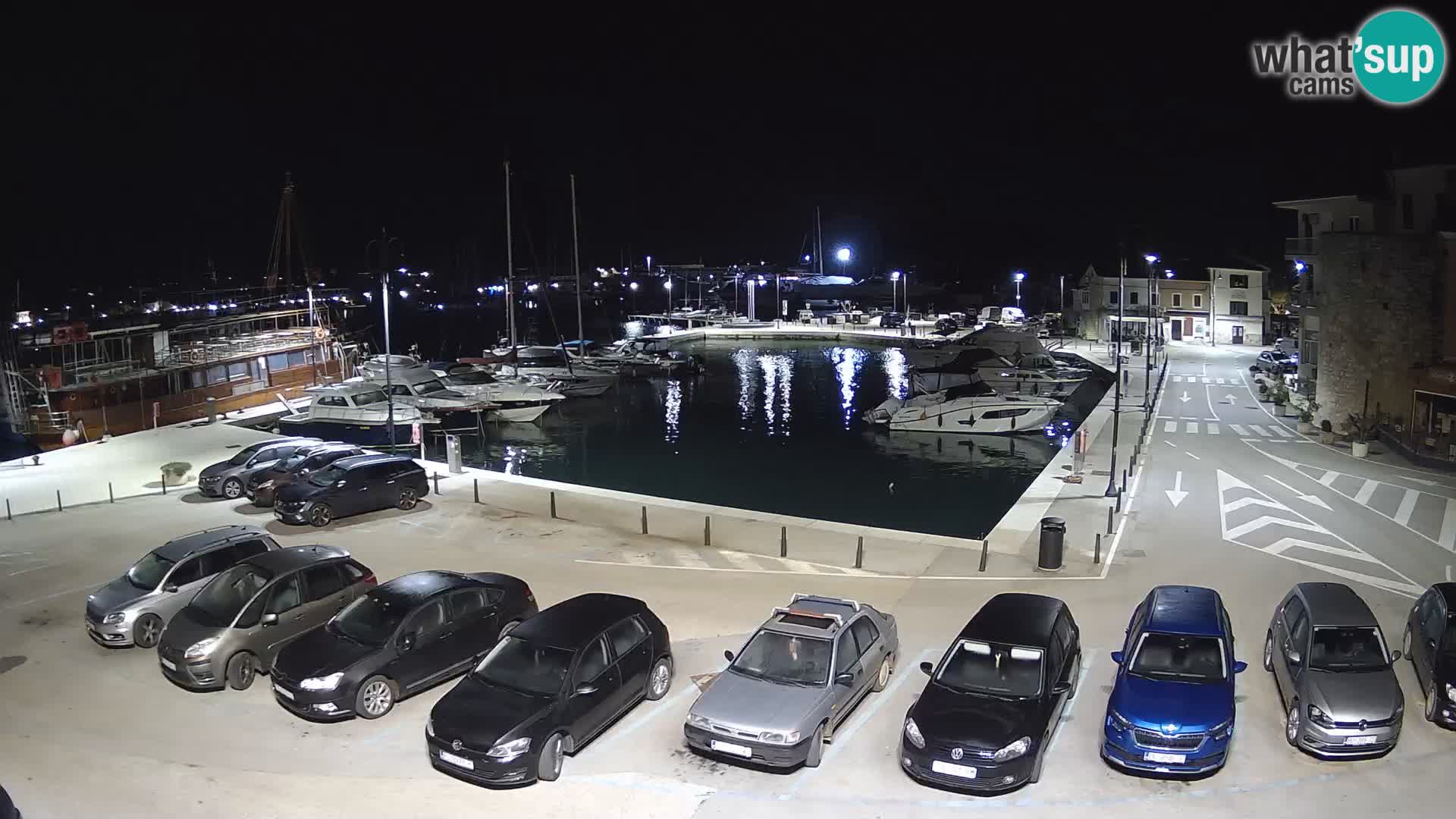 Novigrad | Porporela marina