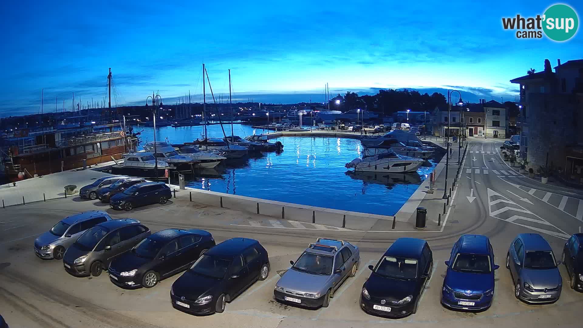 Novigrad | Porporela marina