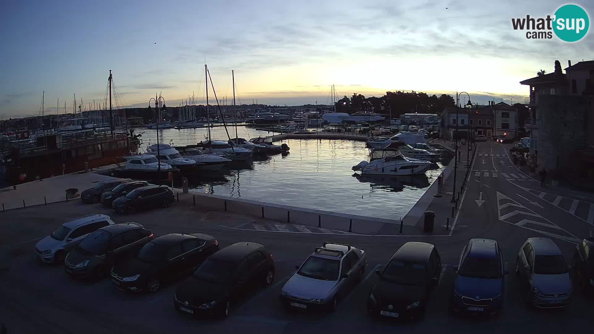 Novigrad | Porporela marina