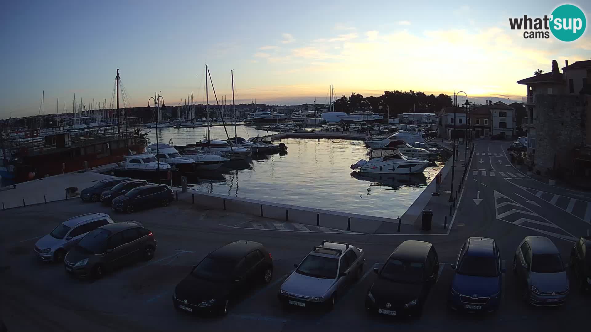 Novigrad | Porporela marina