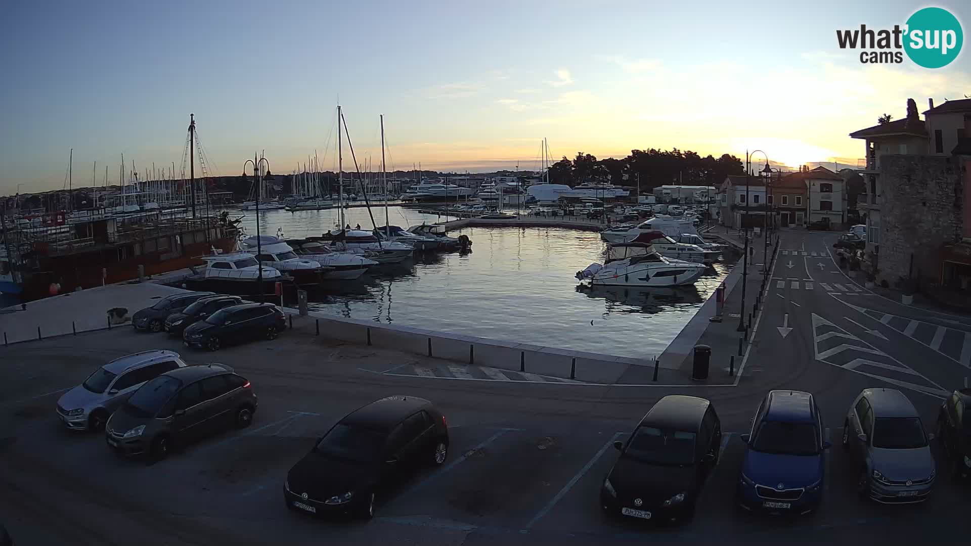 Novigrad | Porporela marina