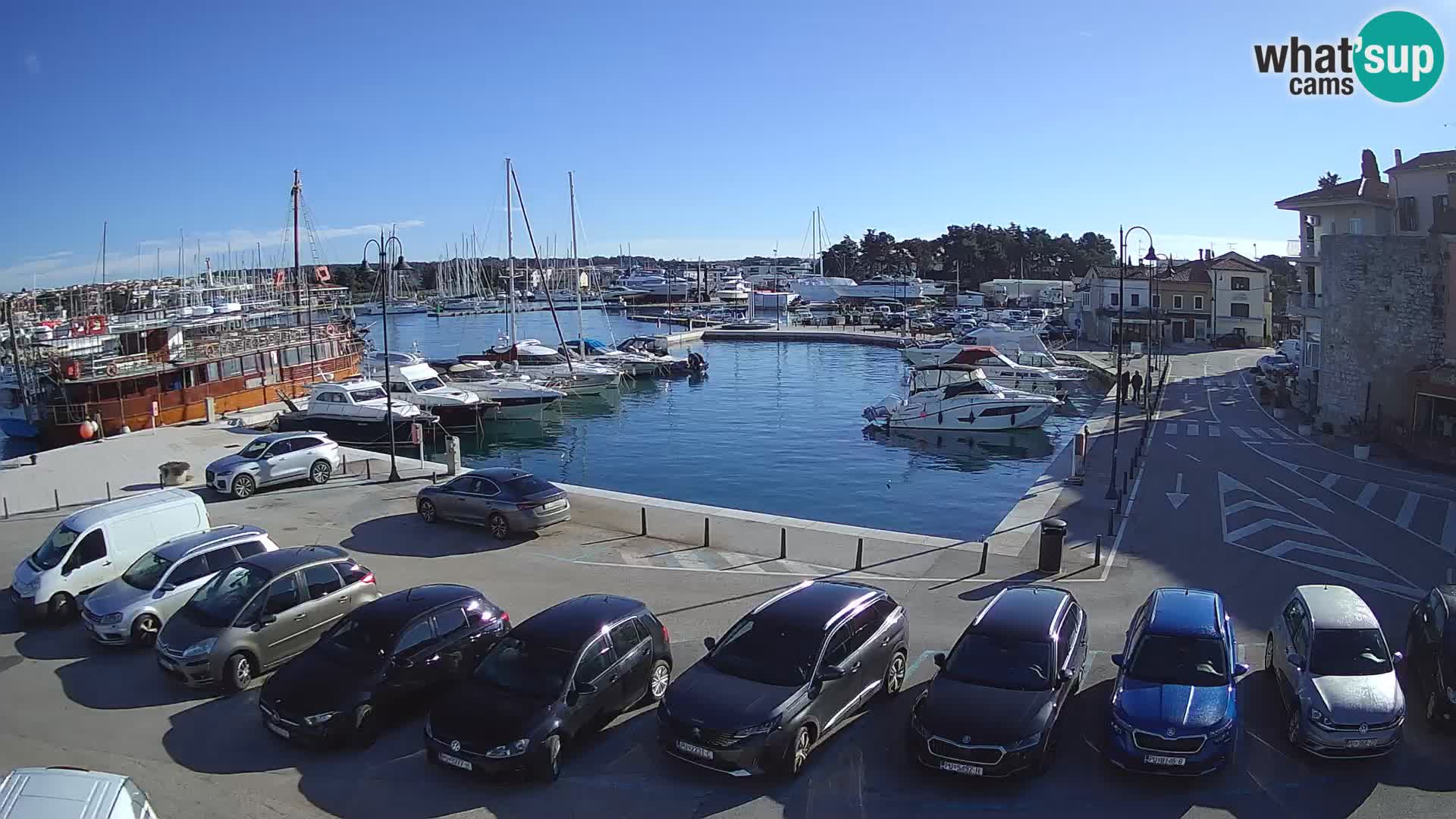 Novigrad | Porporela marina