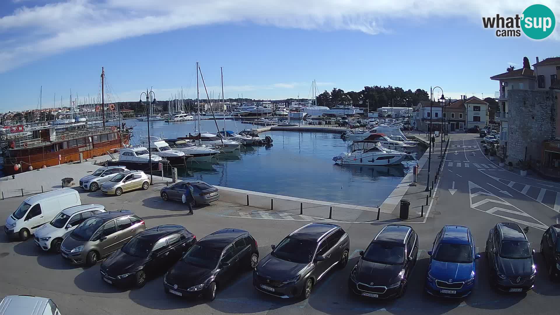 Novigrad | Porporela marina