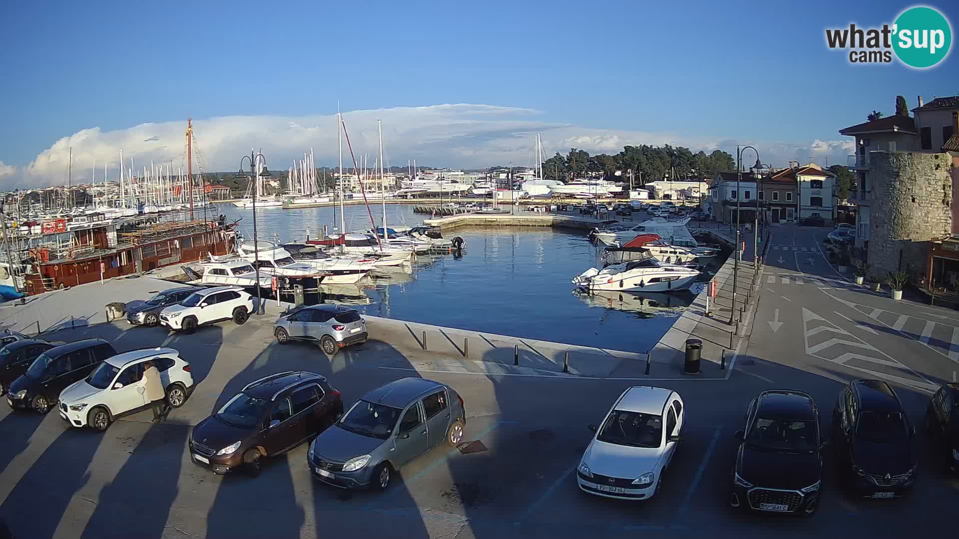 Novigrad | Porporela marina
