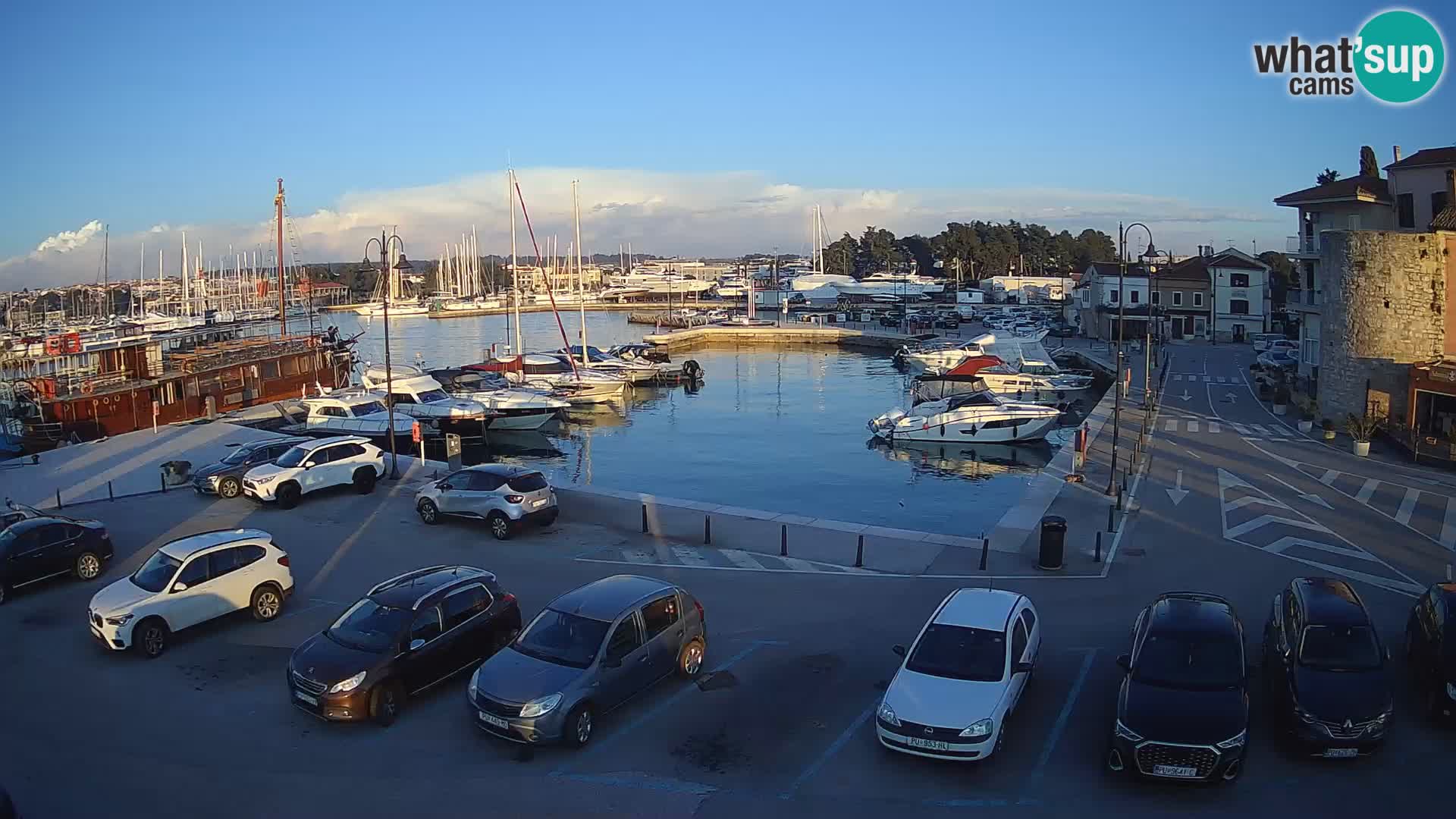 Novigrad | Porporela marina