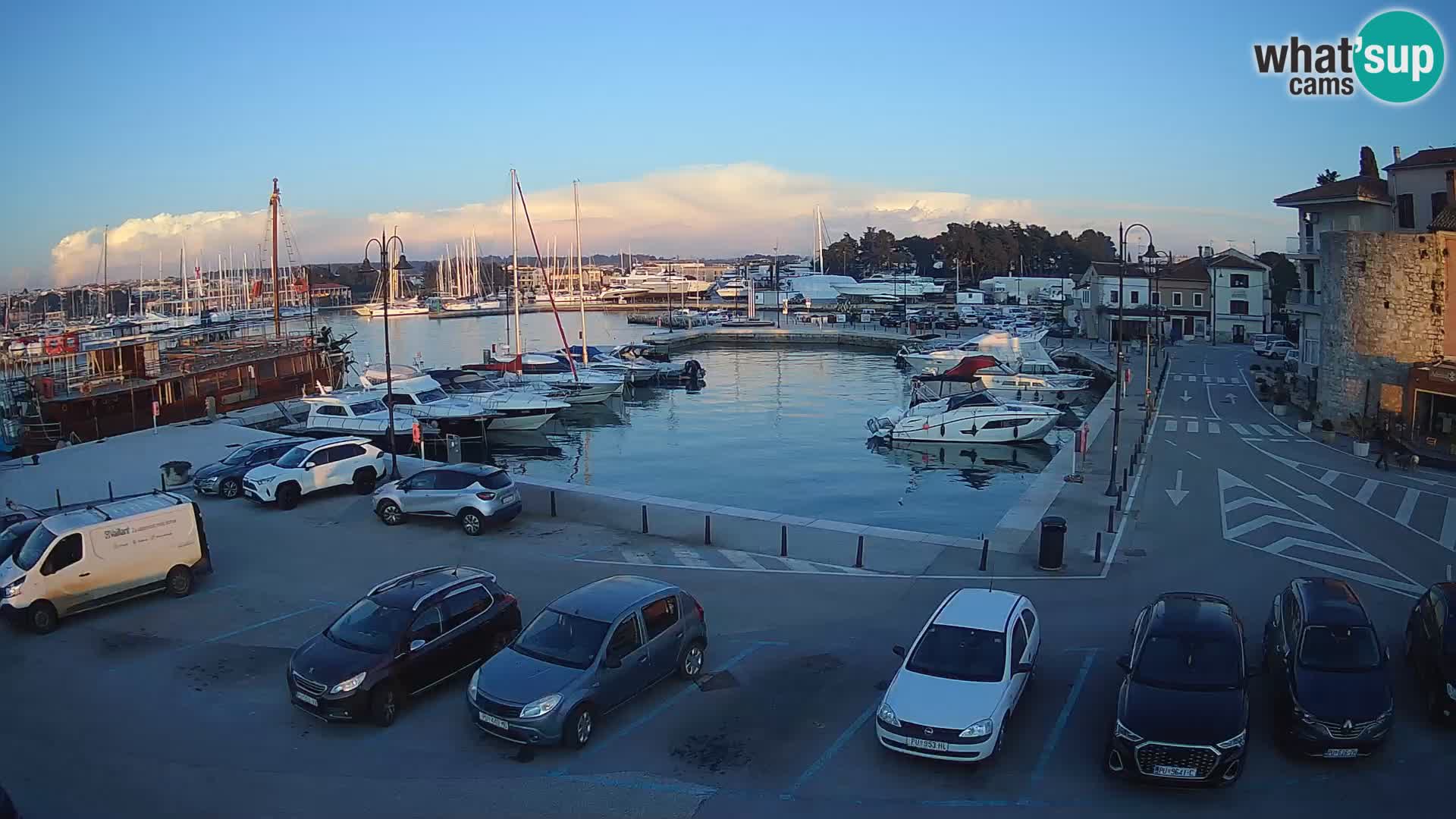 Novigrad | Porporela marina
