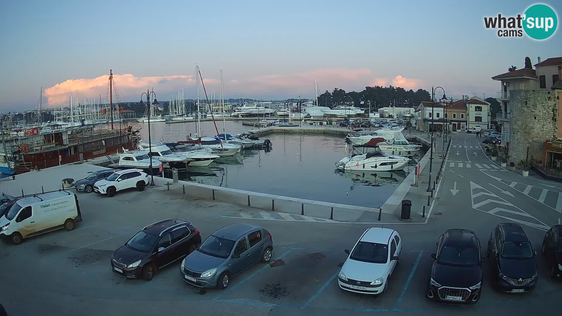 Novigrad | Porporela marina