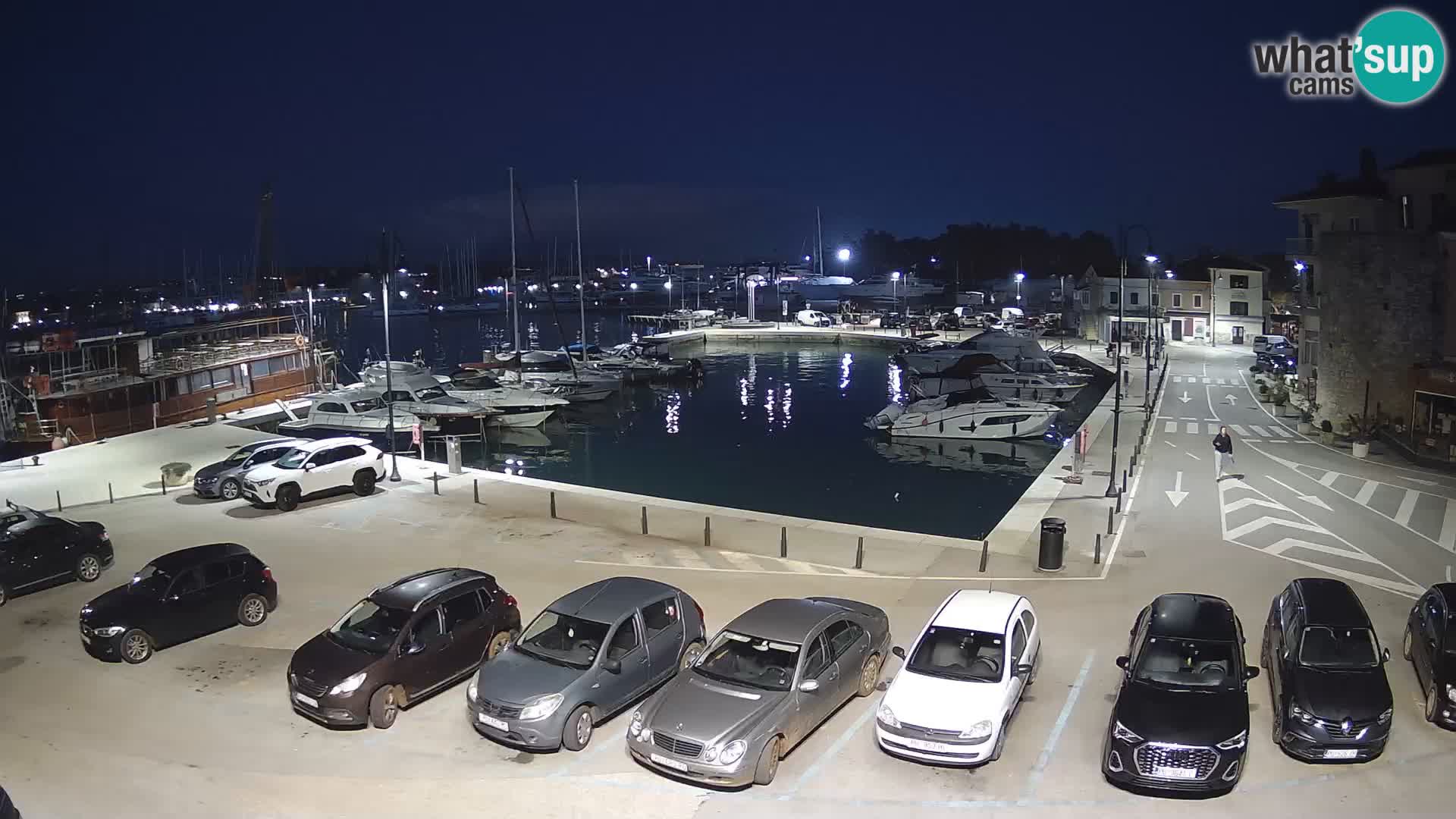 Novigrad | Porporela marina