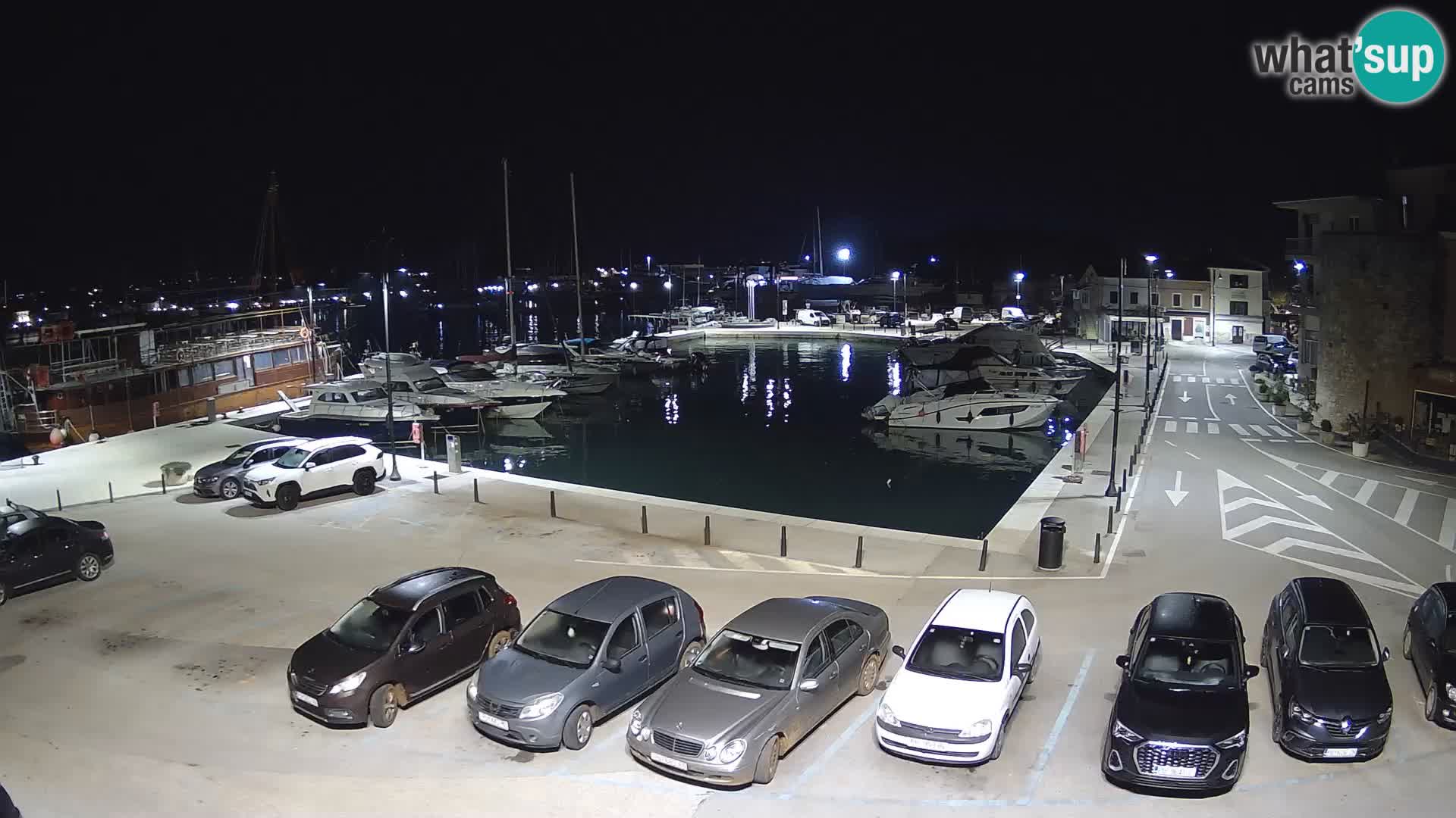 Novigrad | Porporela marina