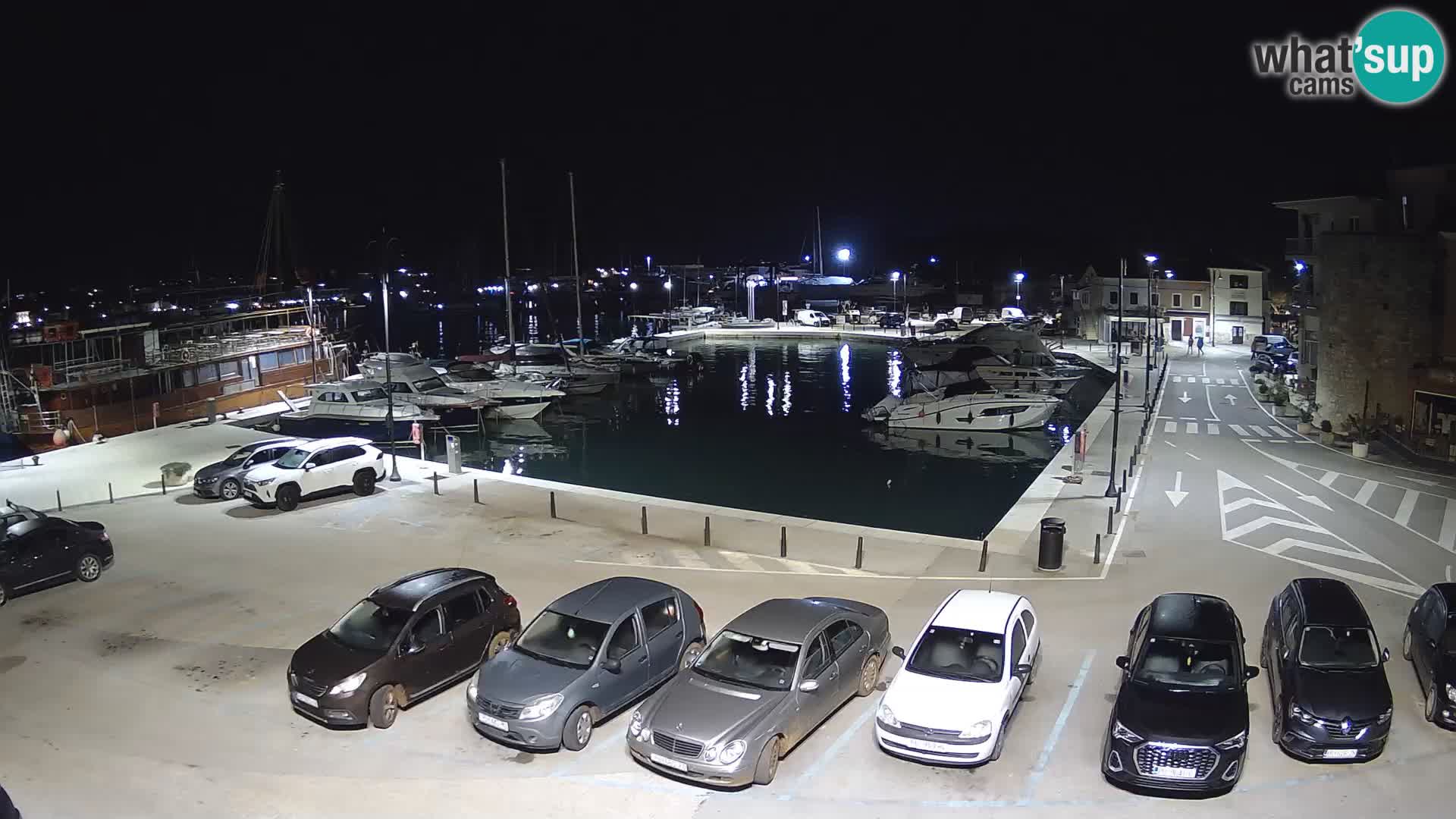 Novigrad | Porporela marina