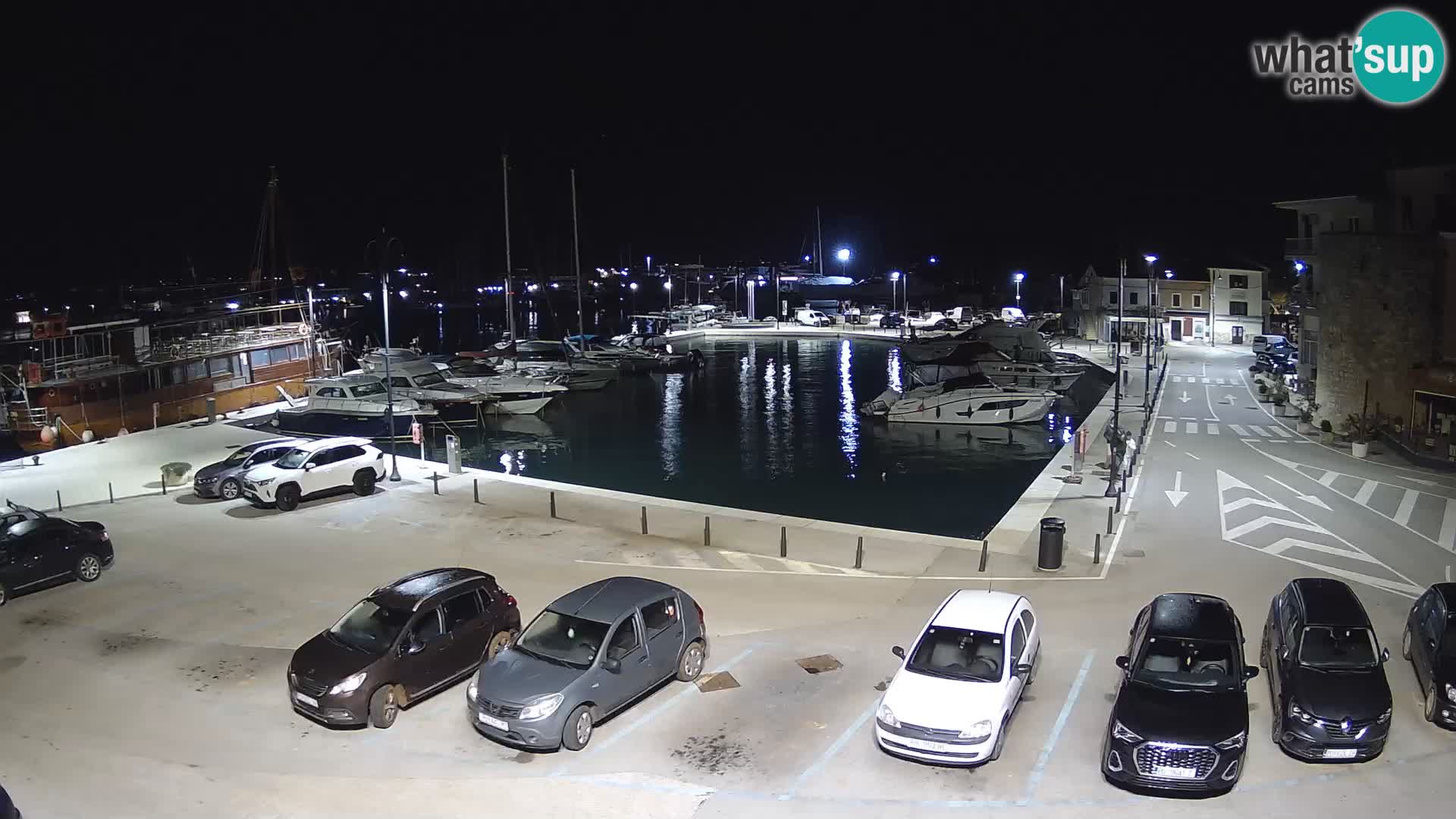 Novigrad | Porporela marina