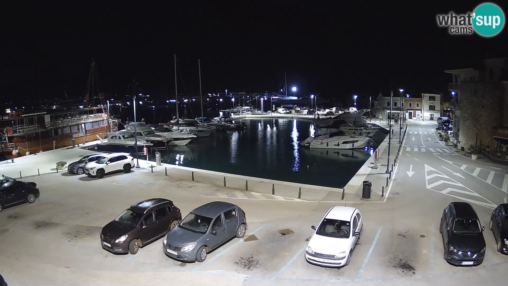 Novigrad | Porporela marina