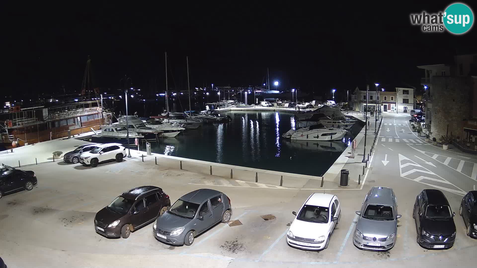Novigrad | Porporela marina