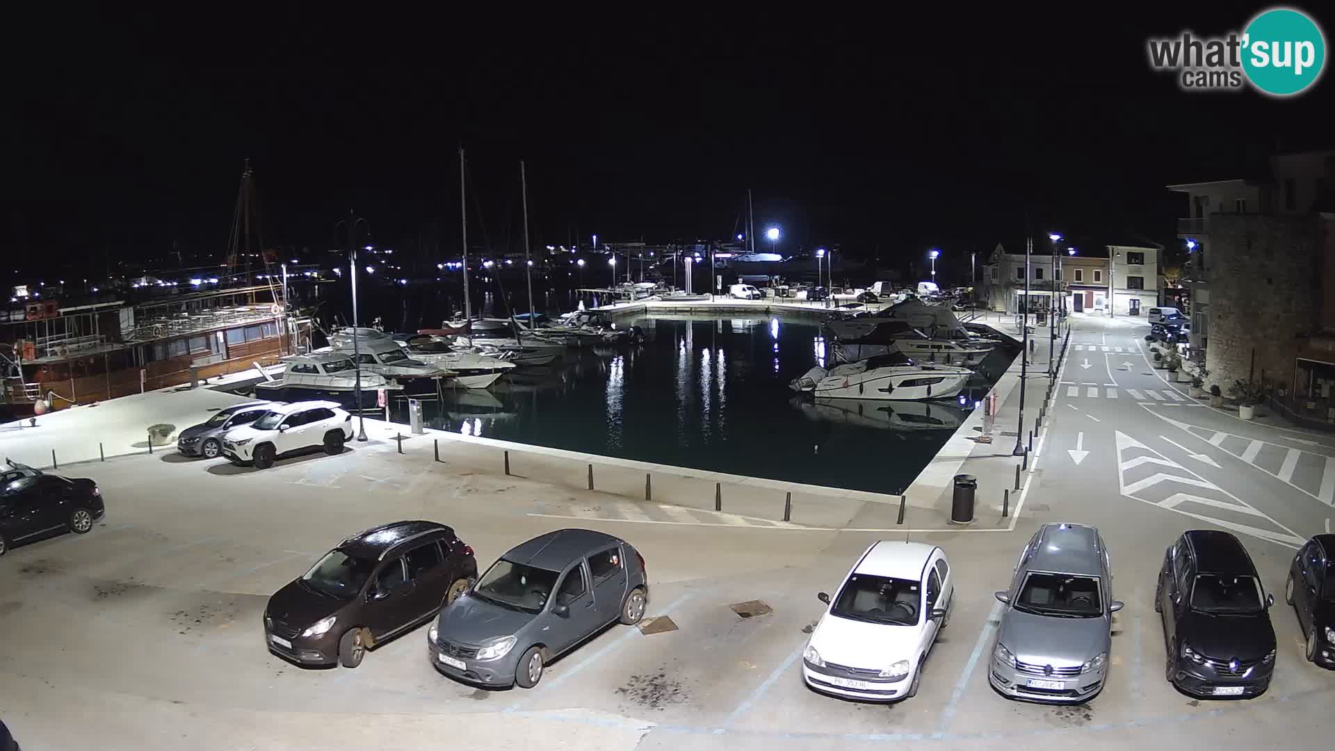 Novigrad | Porporela marina