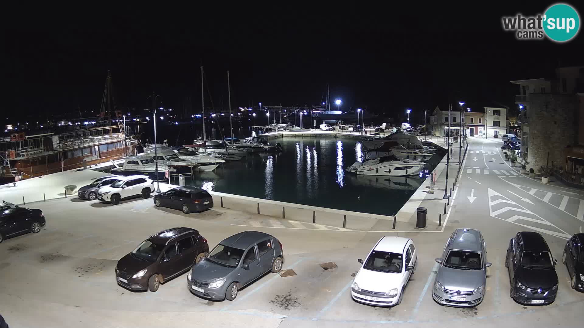 Novigrad | Porporela marina