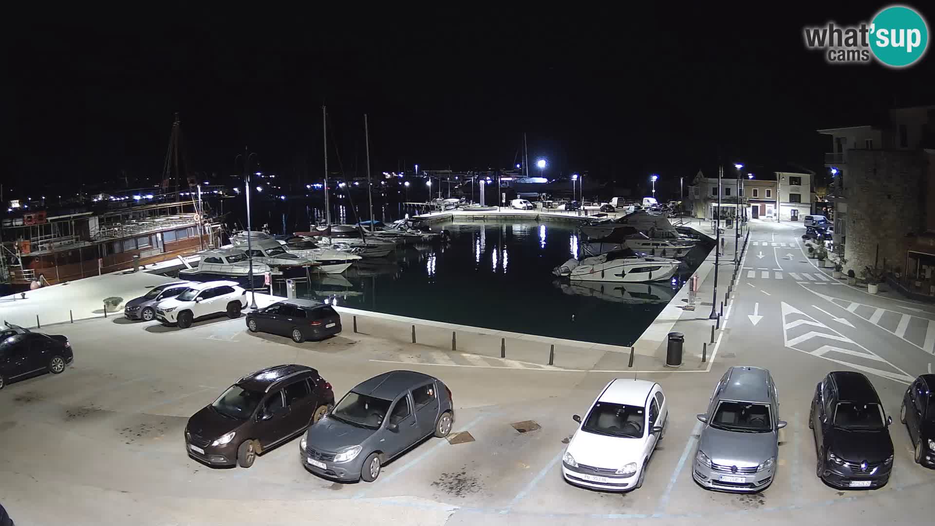 Novigrad | Porporela marina