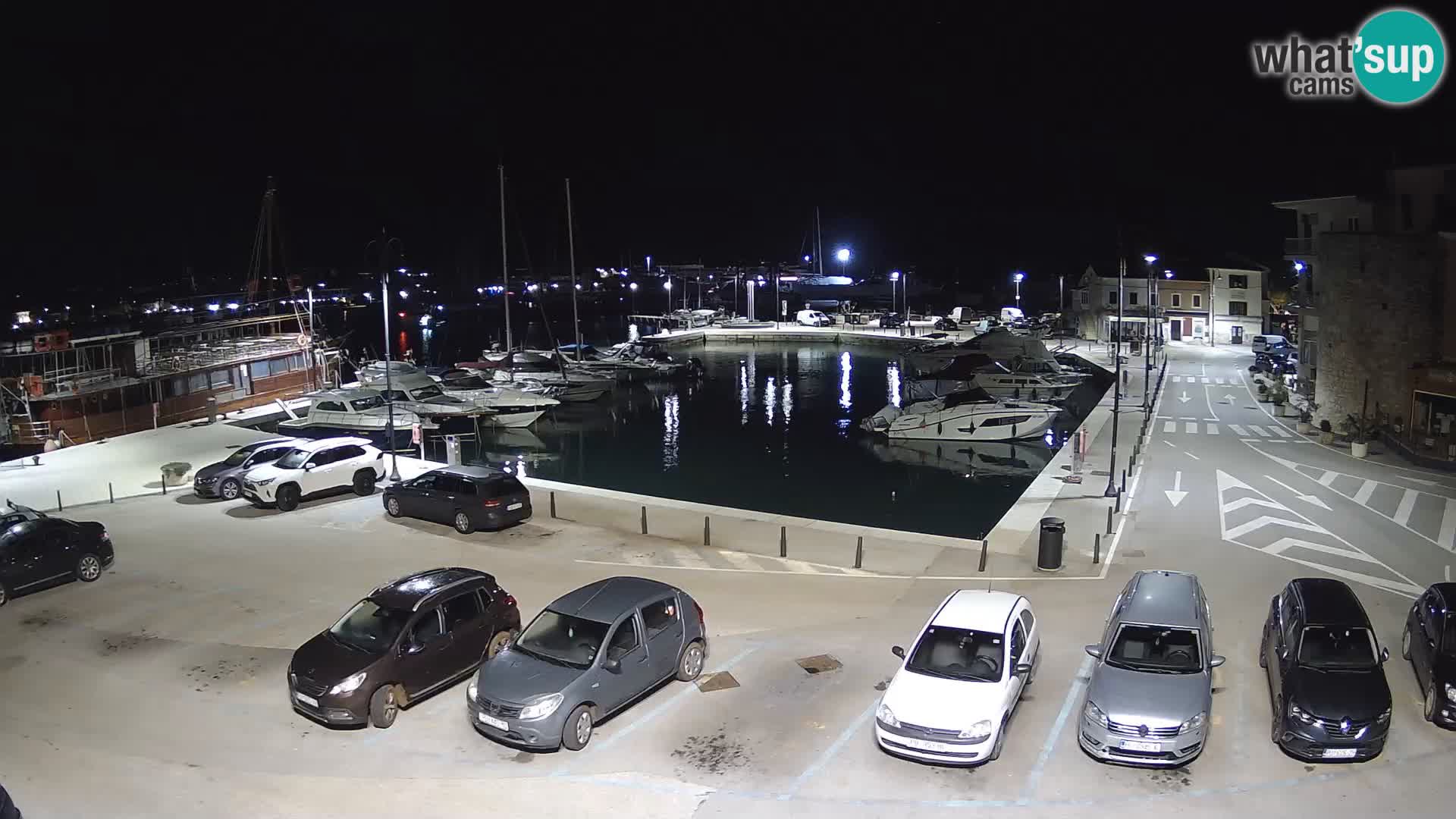 Novigrad | Porporela marina