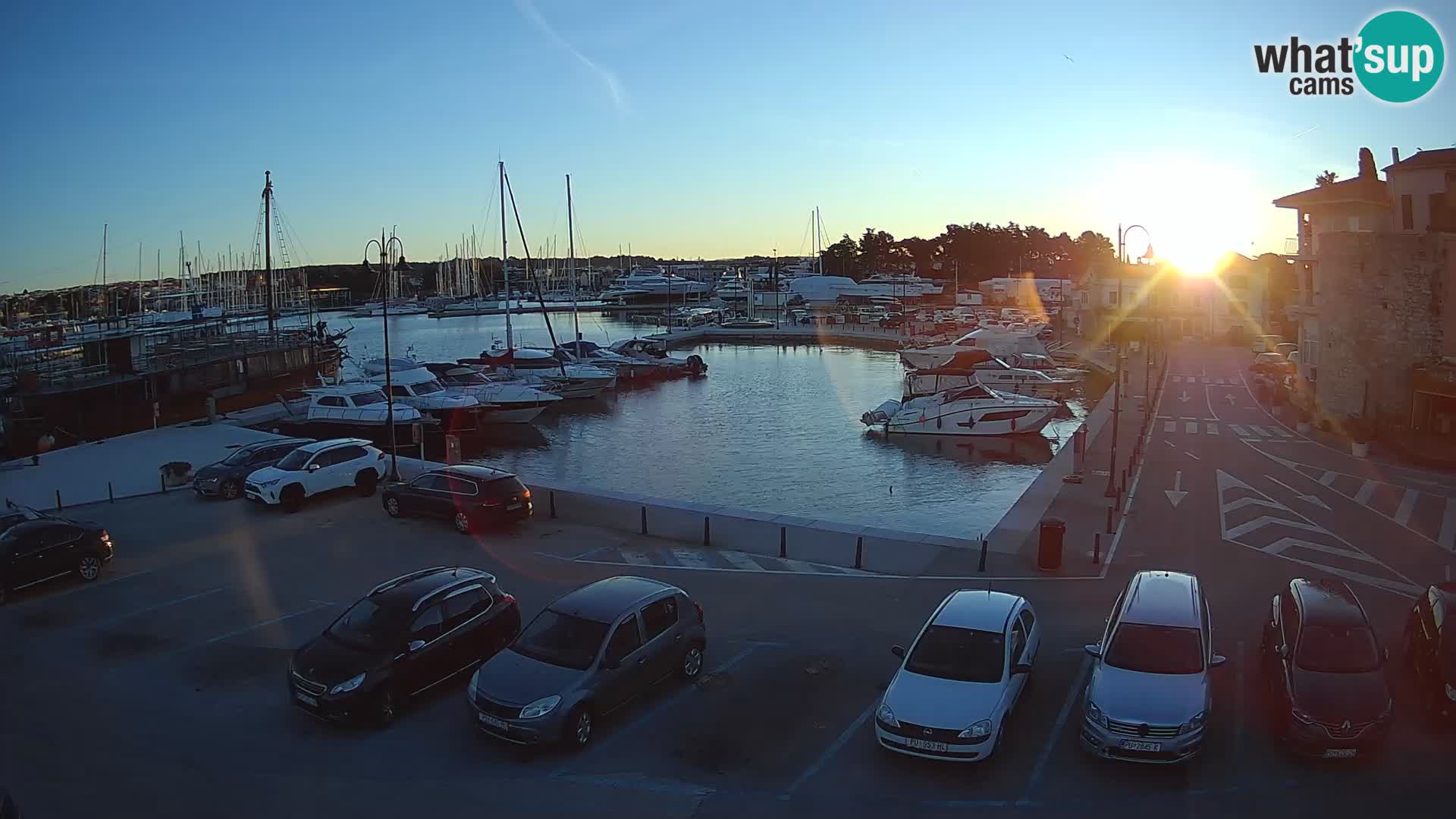 Novigrad | Porporela marina