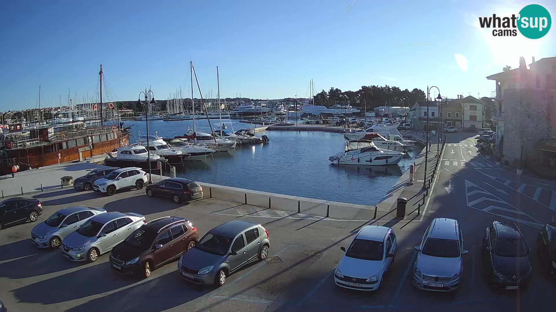 Novigrad | Porporela marina