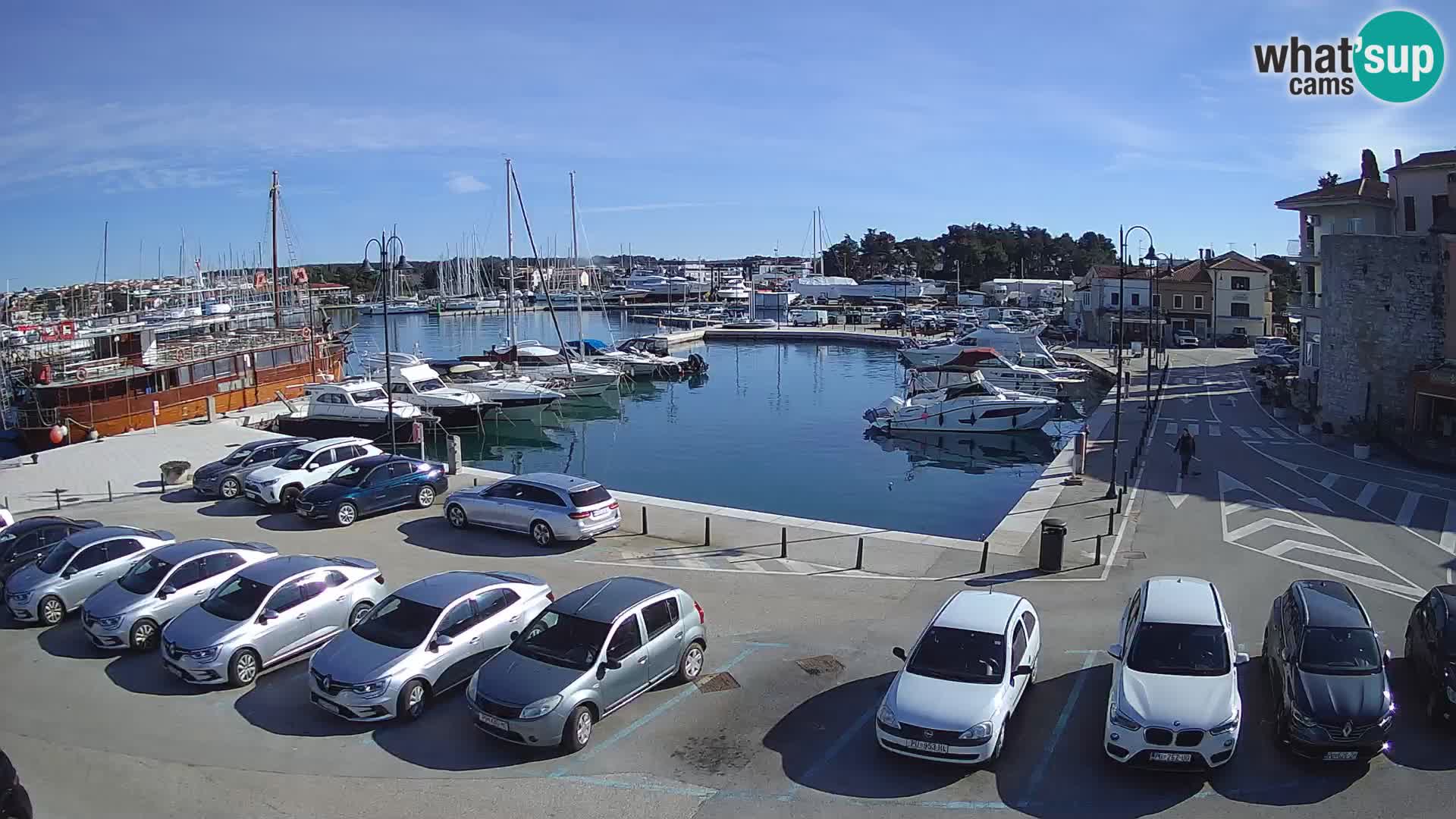 Novigrad | Porporela marina