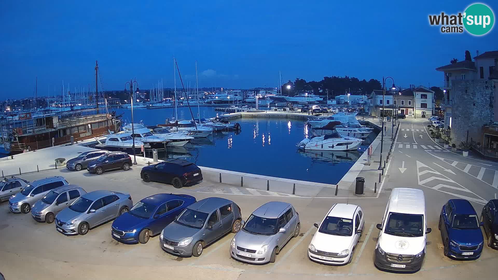 Novigrad | Porporela marina