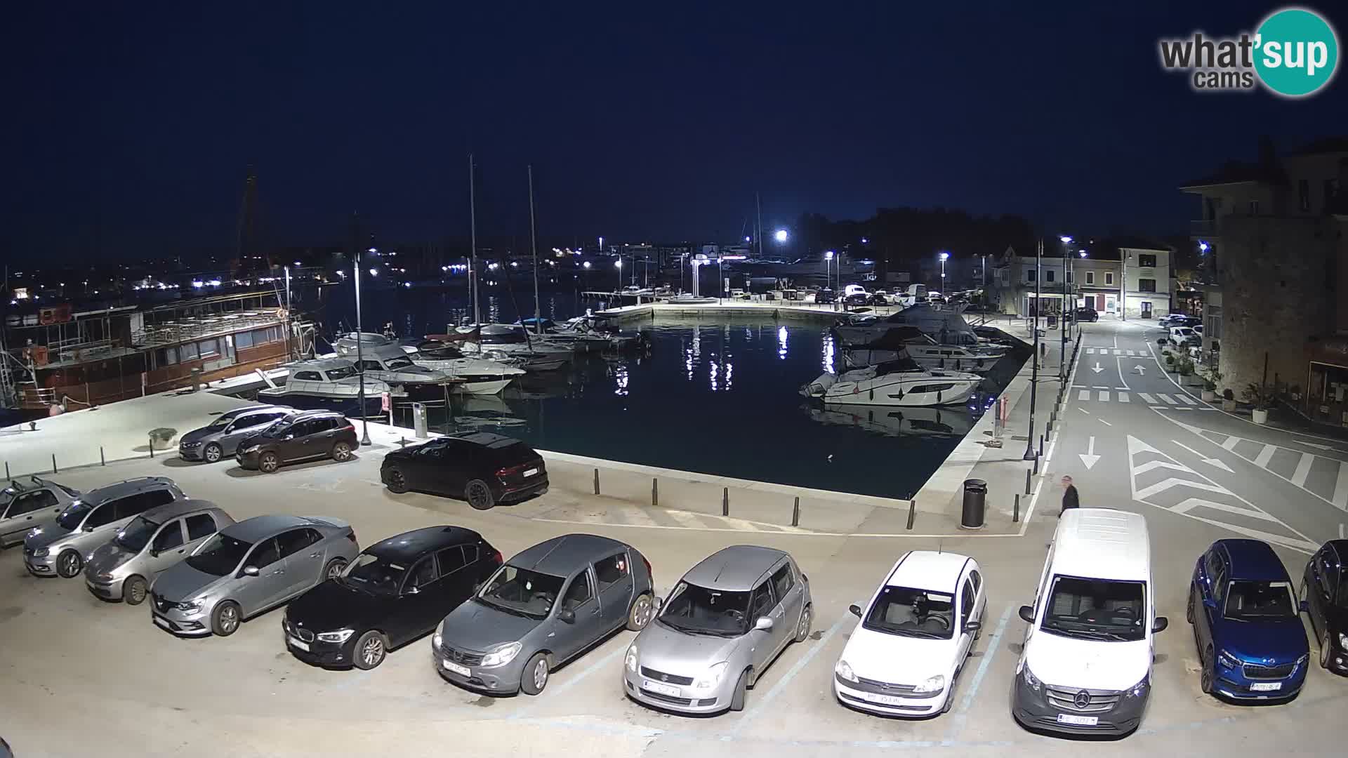 Novigrad | Porporela marina