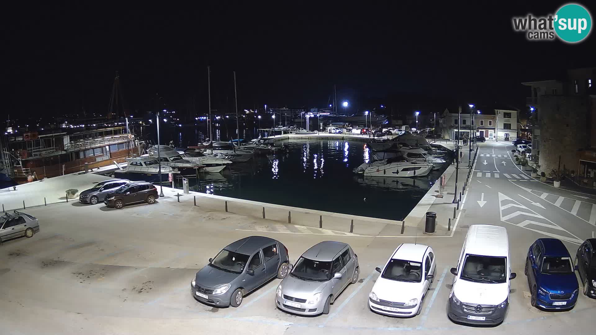 Novigrad | Porporela marina