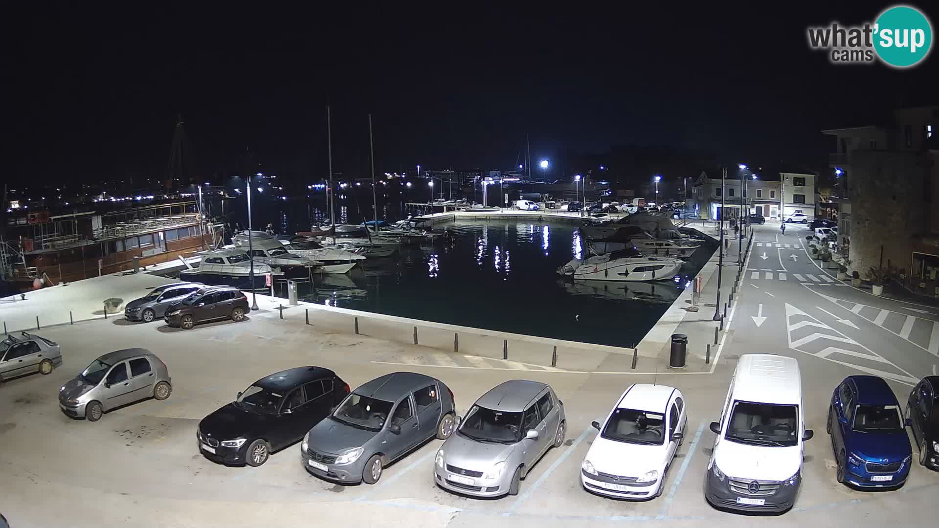 Novigrad | Porporela marina