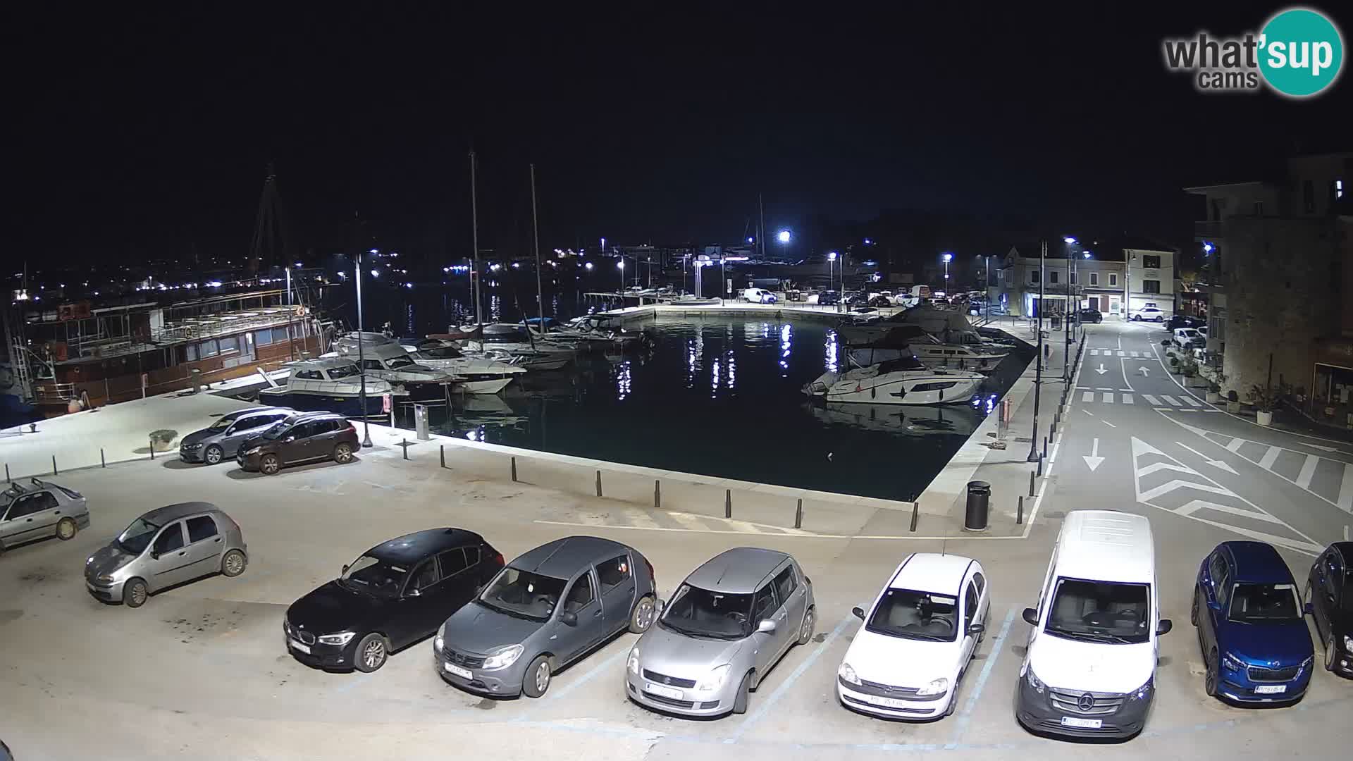 Novigrad | Porporela marina