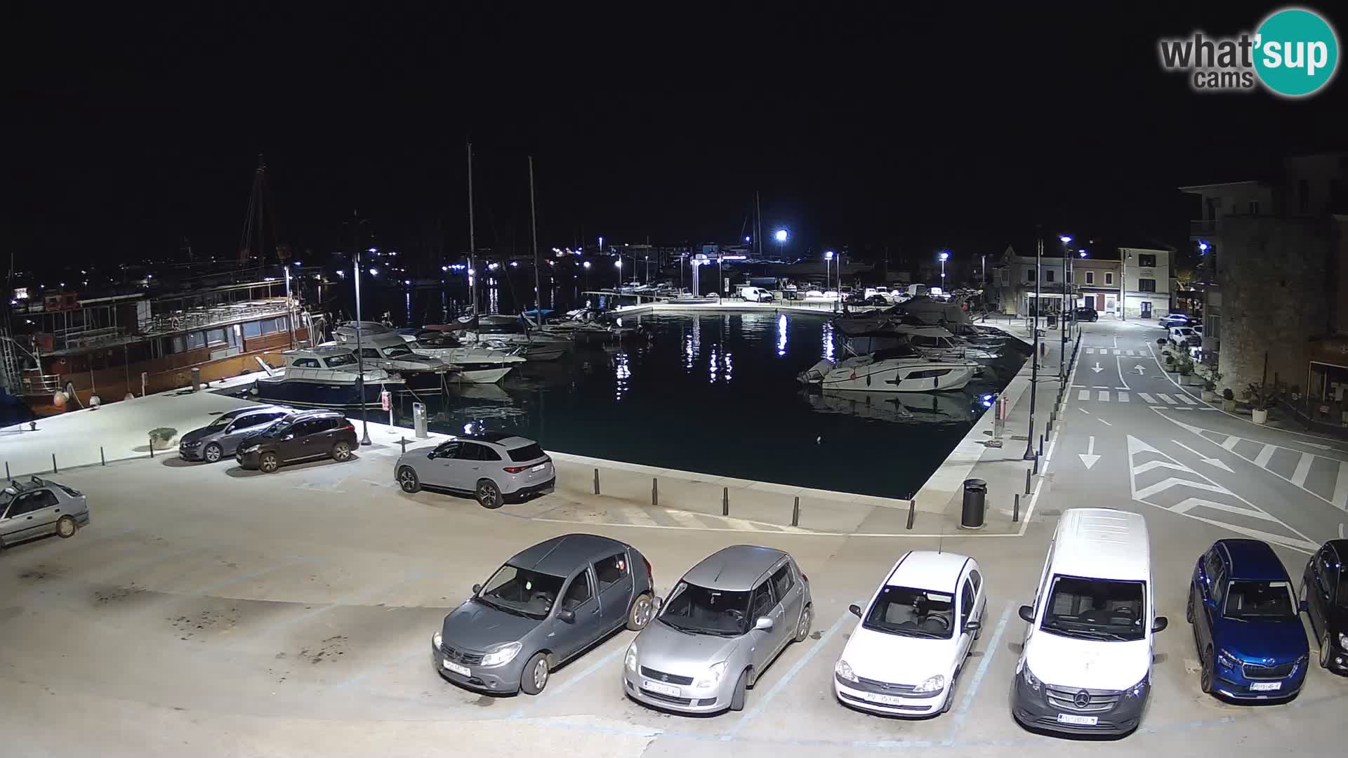 Novigrad | Porporela marina