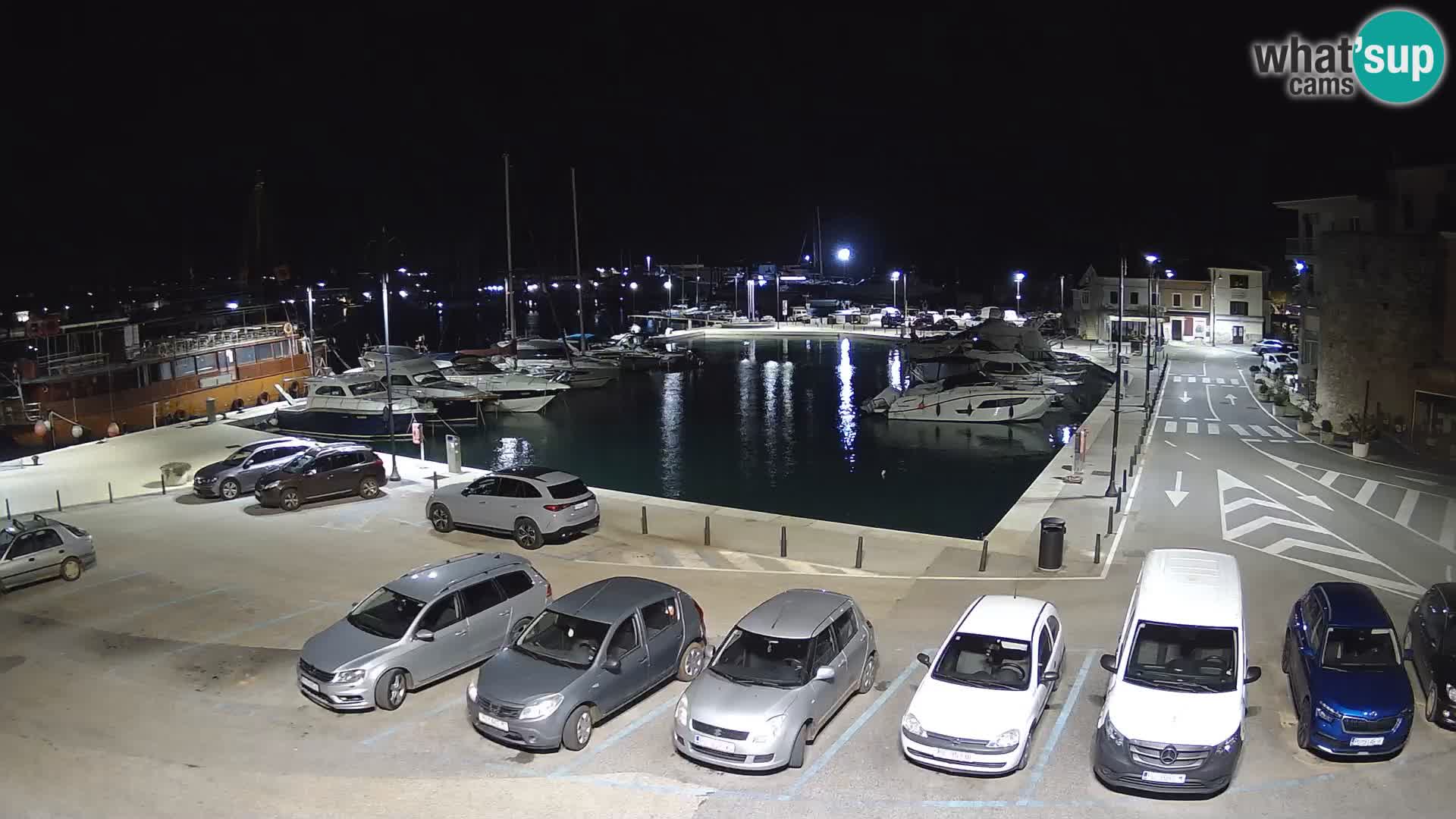 Novigrad | Porporela marina