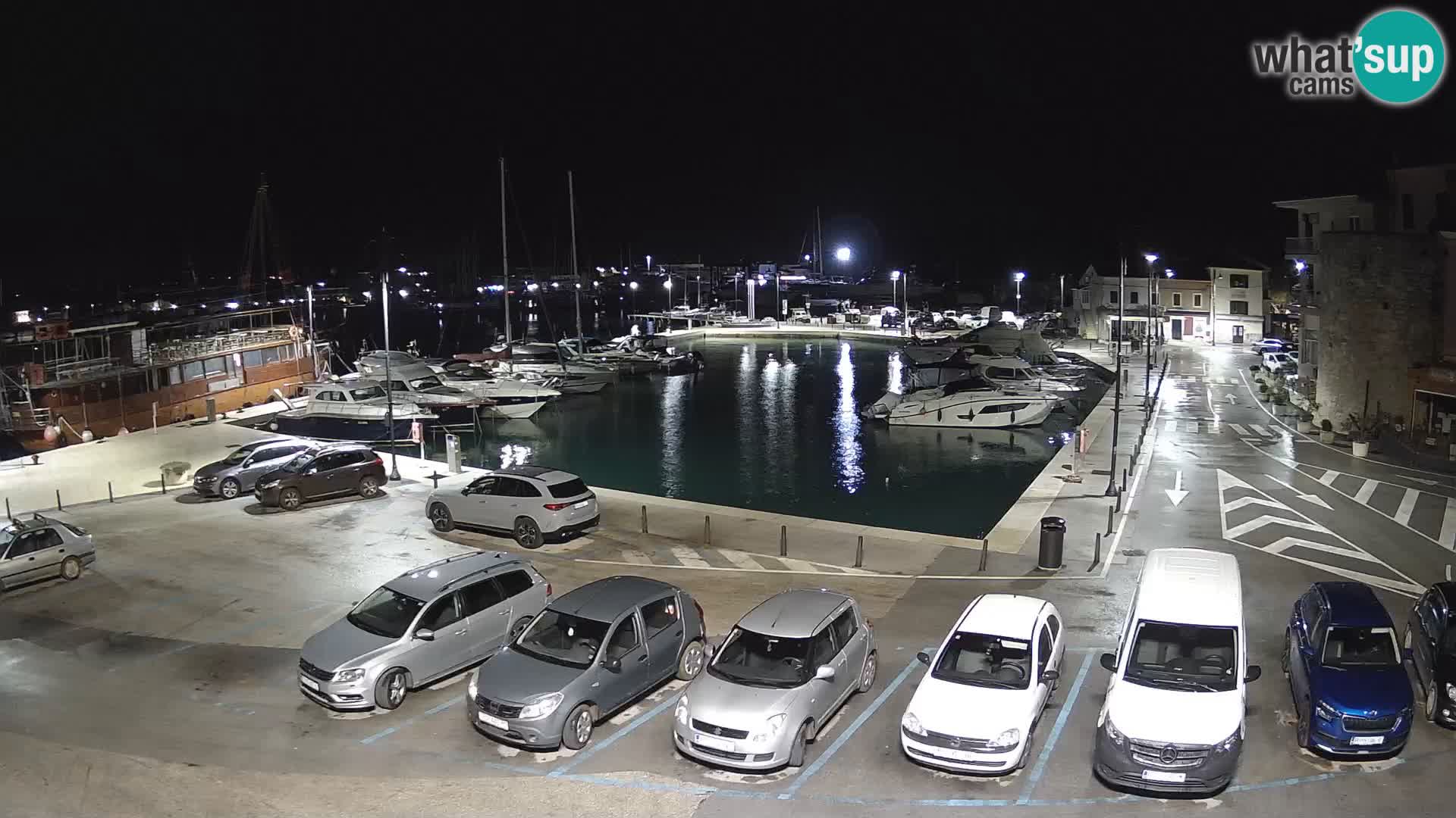 Novigrad | Porporela marina