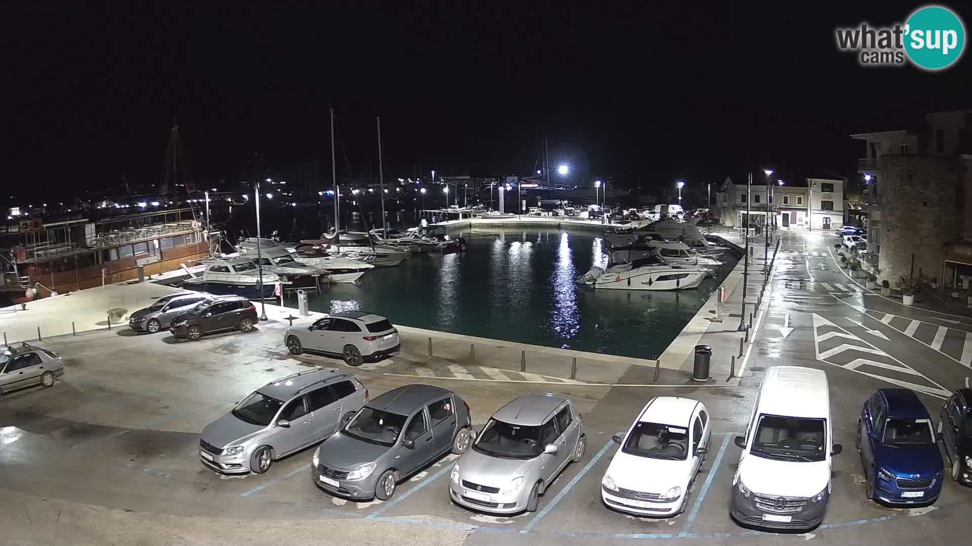 Novigrad | Porporela marina