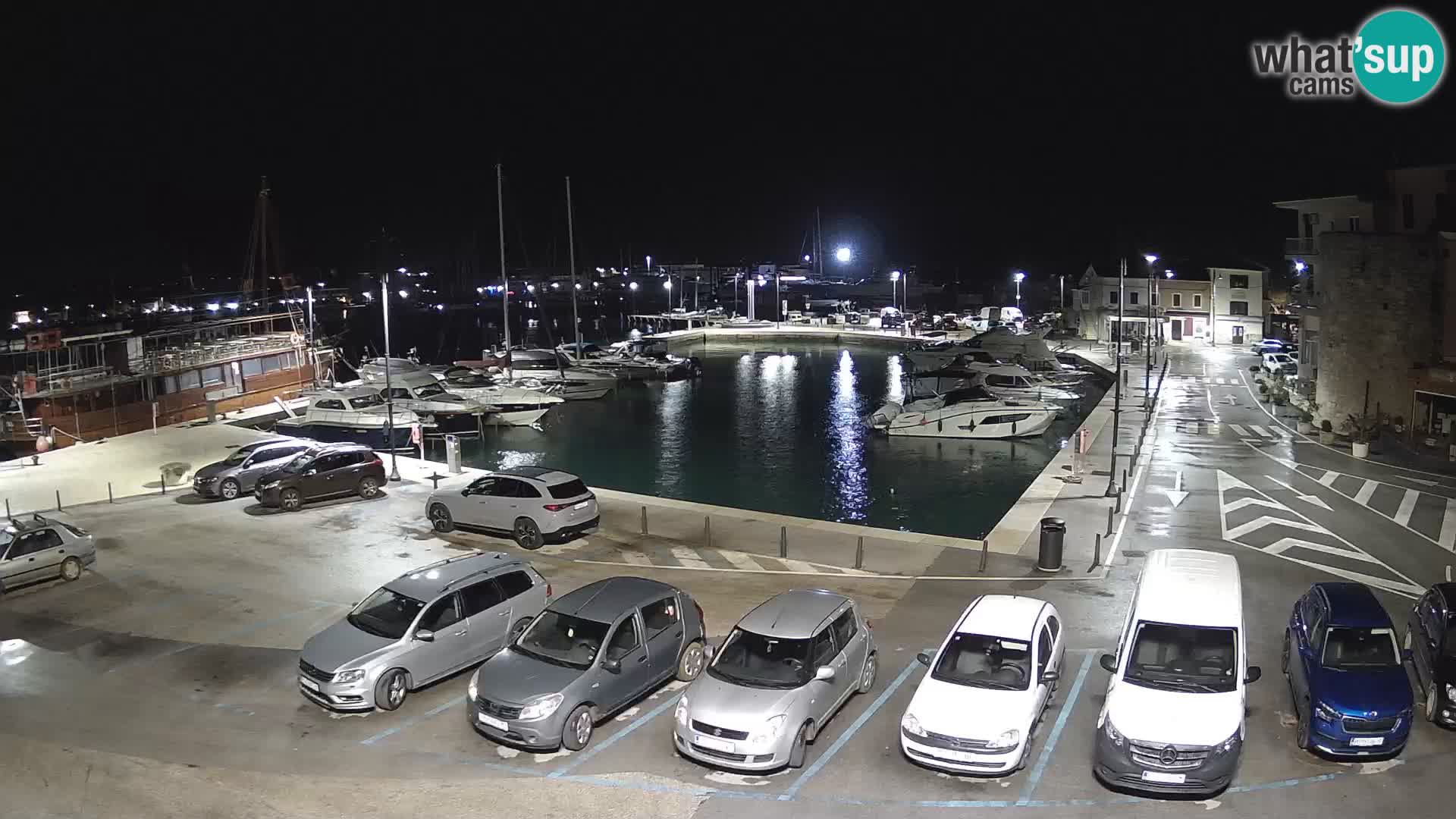 Novigrad | Porporela marina