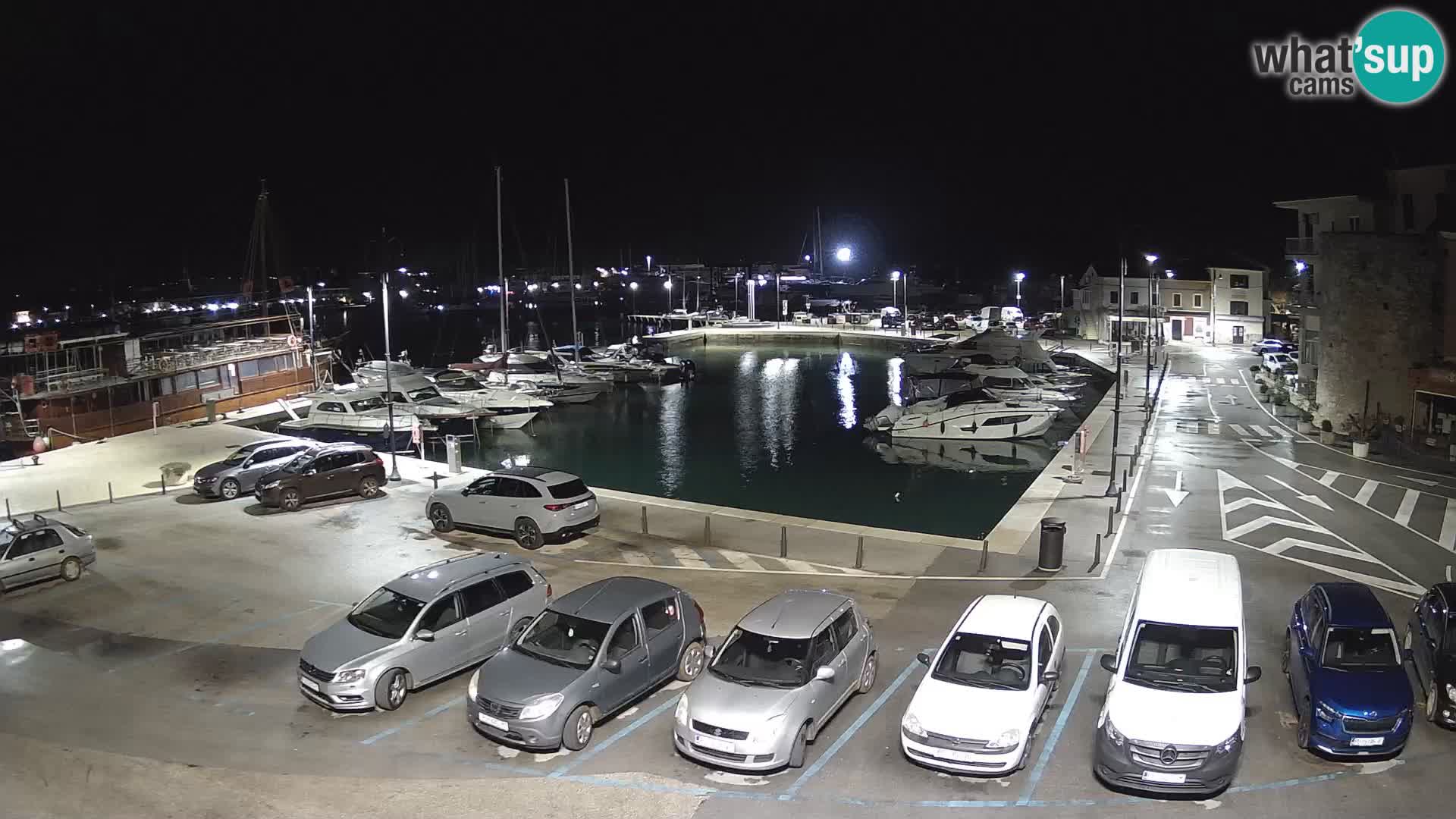 Novigrad | Porporela marina