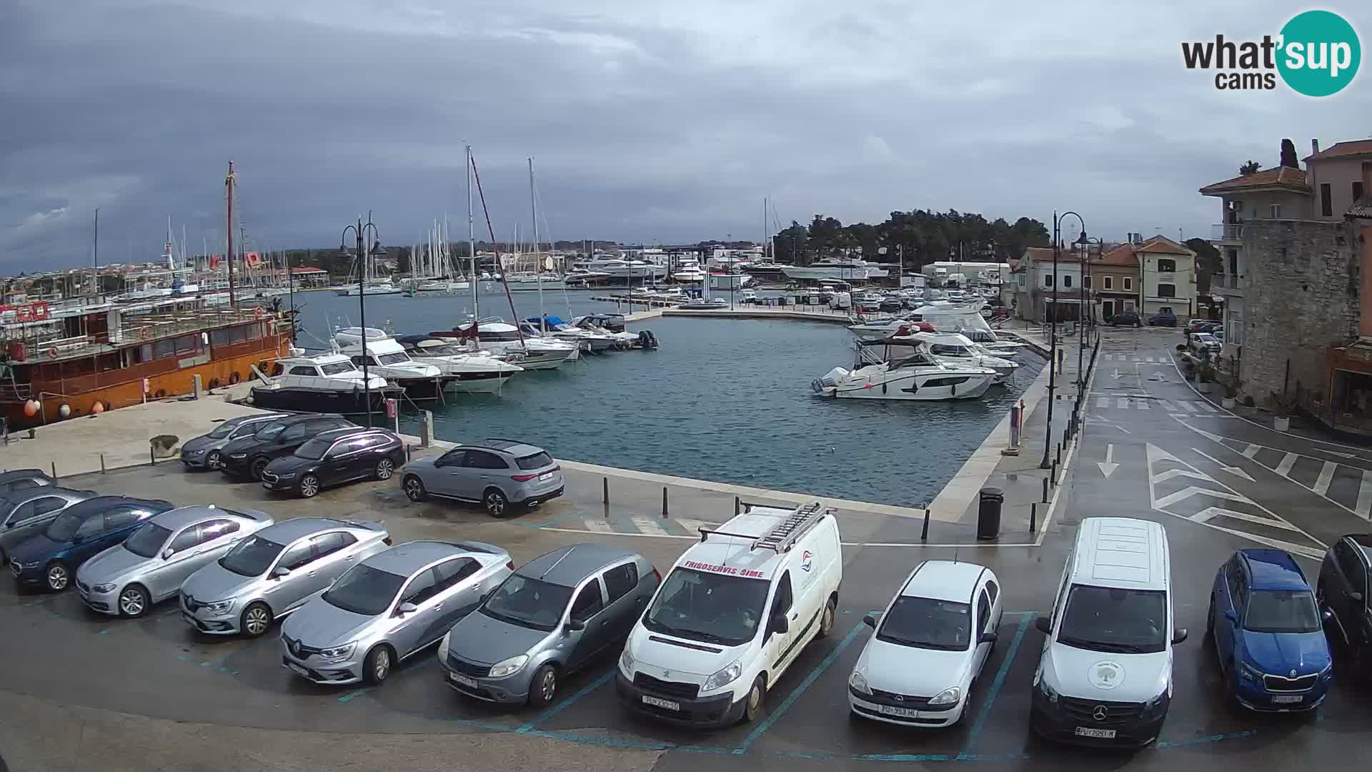 Novigrad | Porporela marina