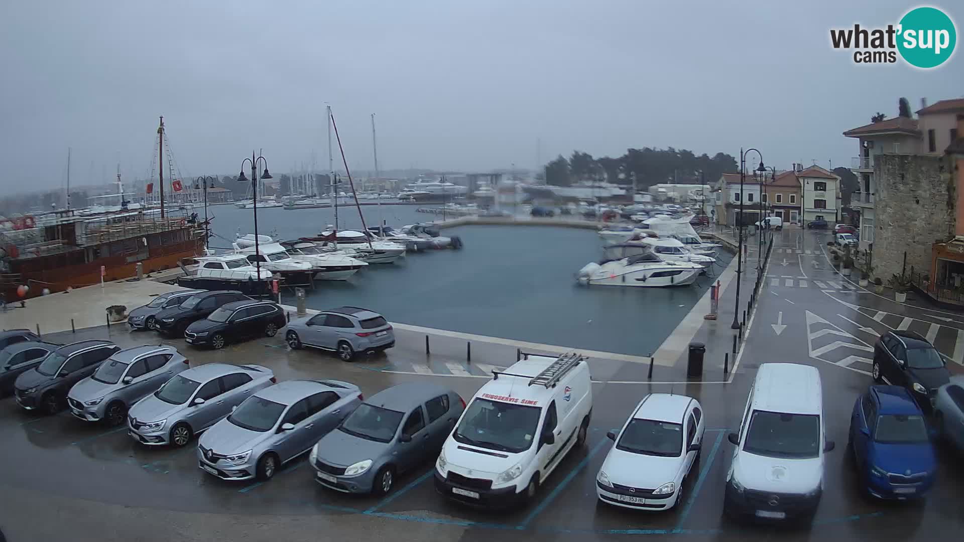 Novigrad | Porporela marina