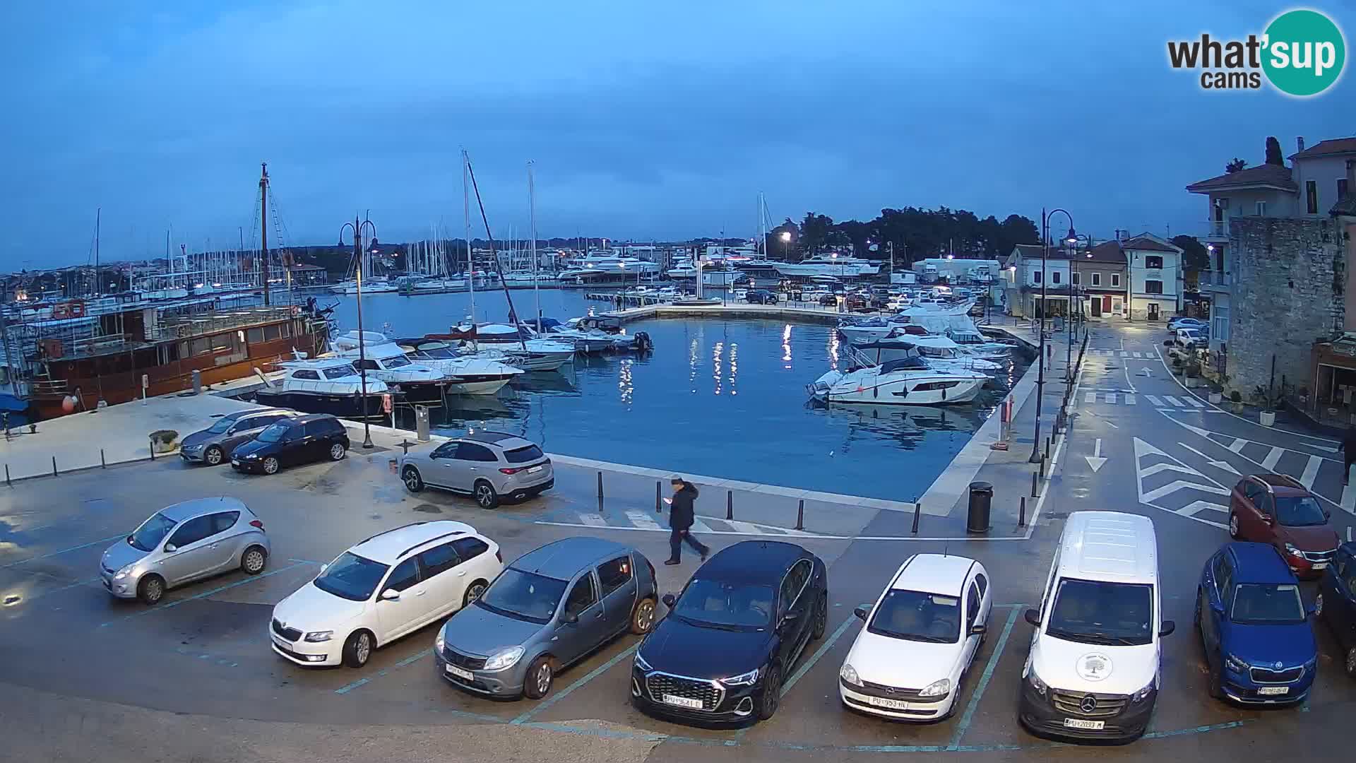 Novigrad | Porporela marina