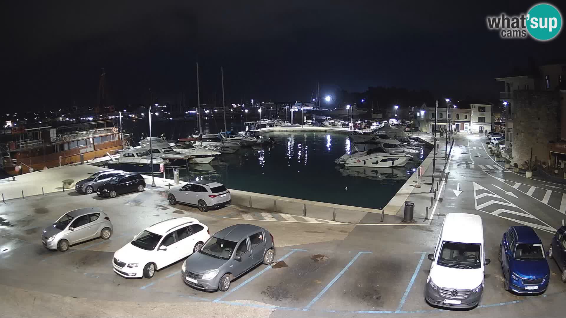 Novigrad | Porporela marina
