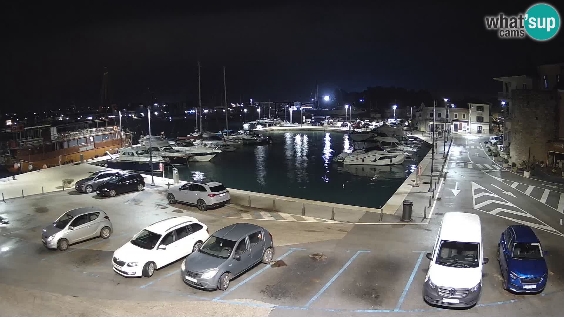 Novigrad | Porporela marina