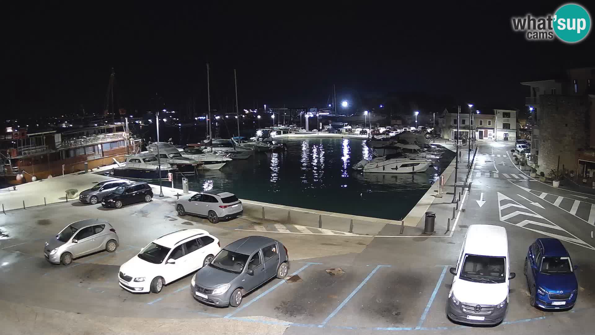 Novigrad | Porporela marina