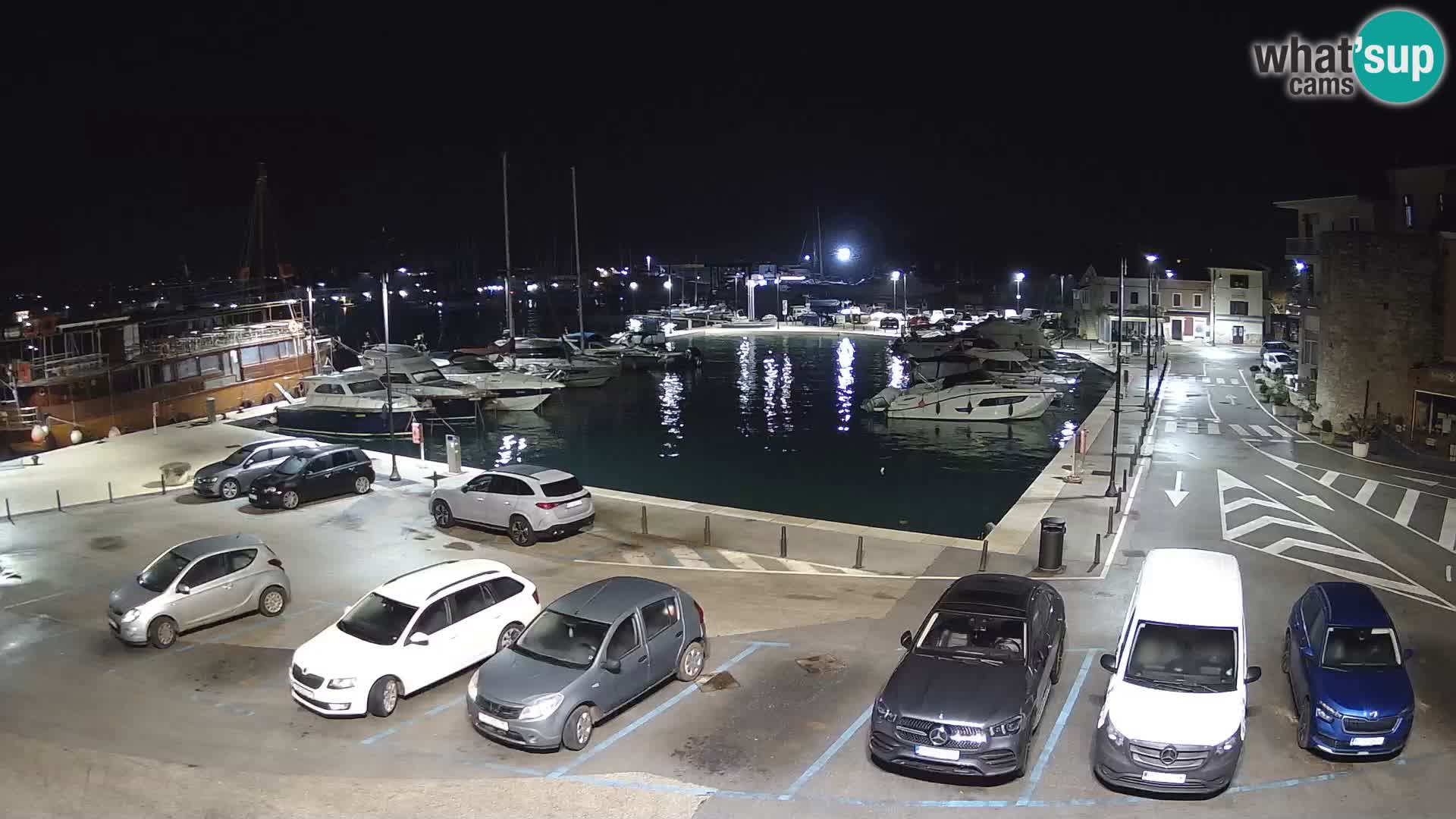 Novigrad | Porporela marina