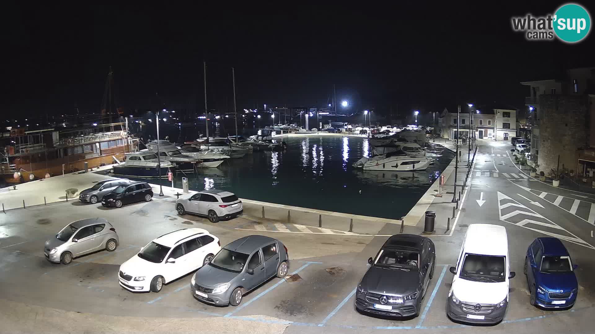Novigrad | Porporela marina