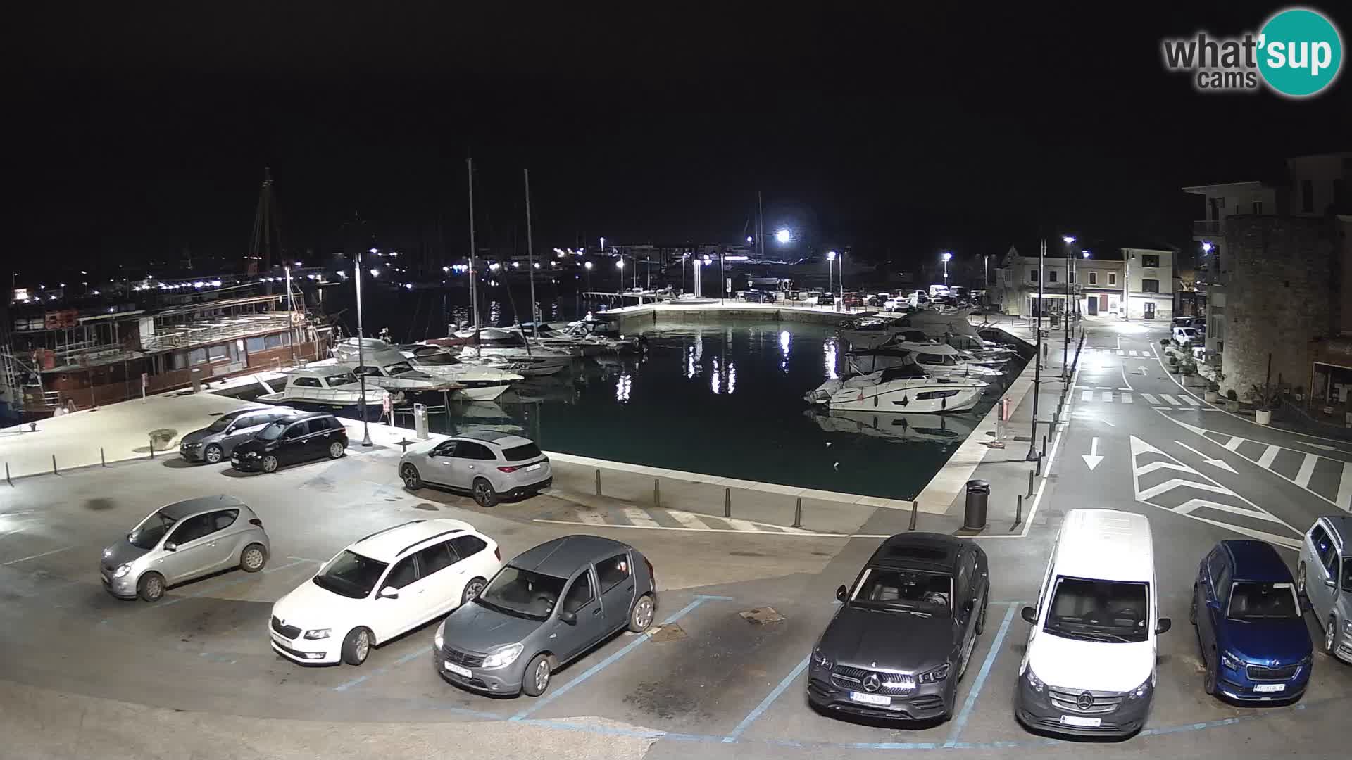 Novigrad | Porporela marina
