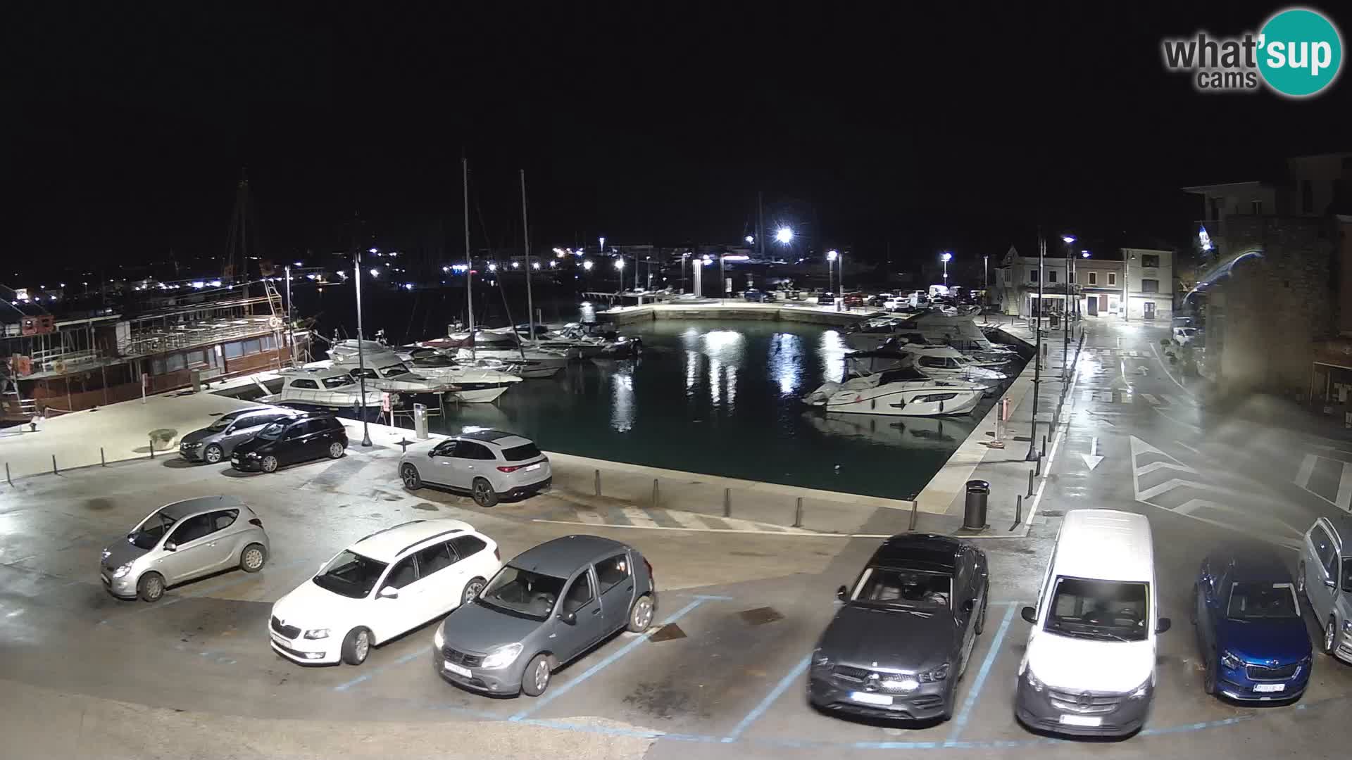 Novigrad | Porporela marina