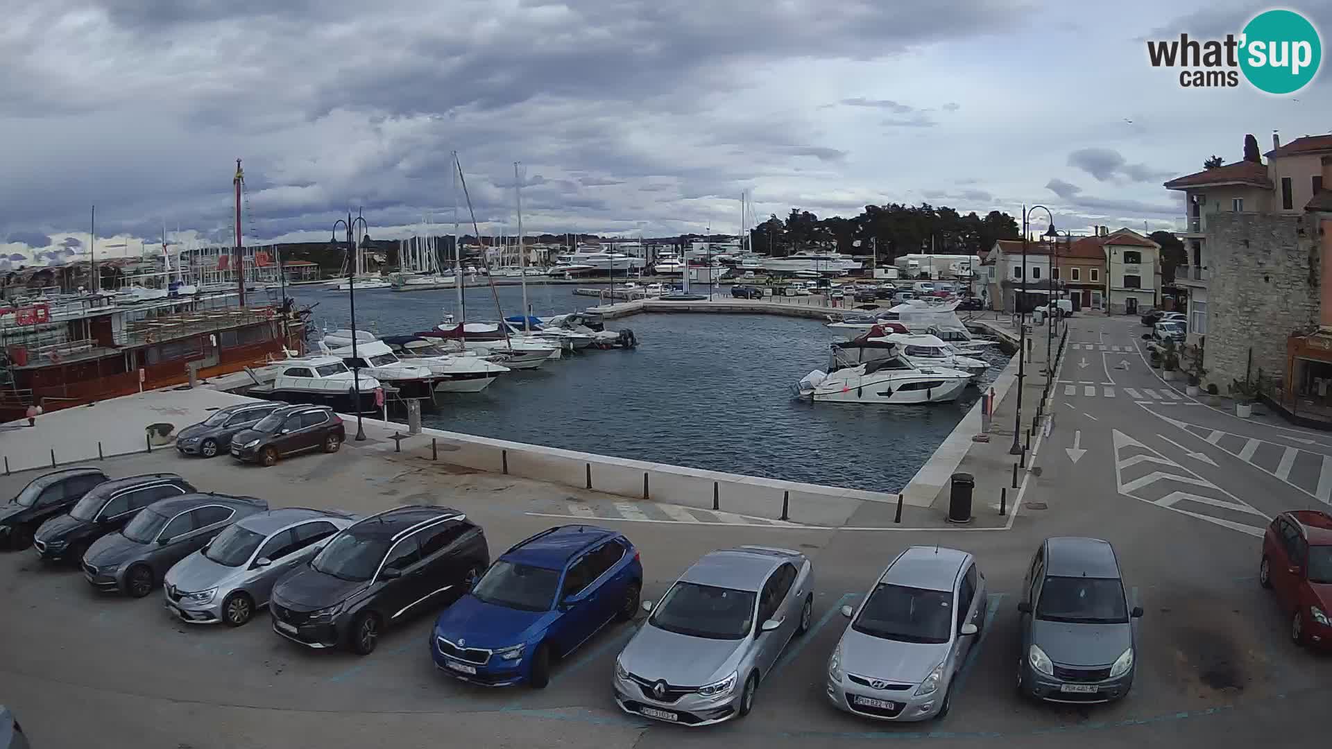 Novigrad | Porporela marina