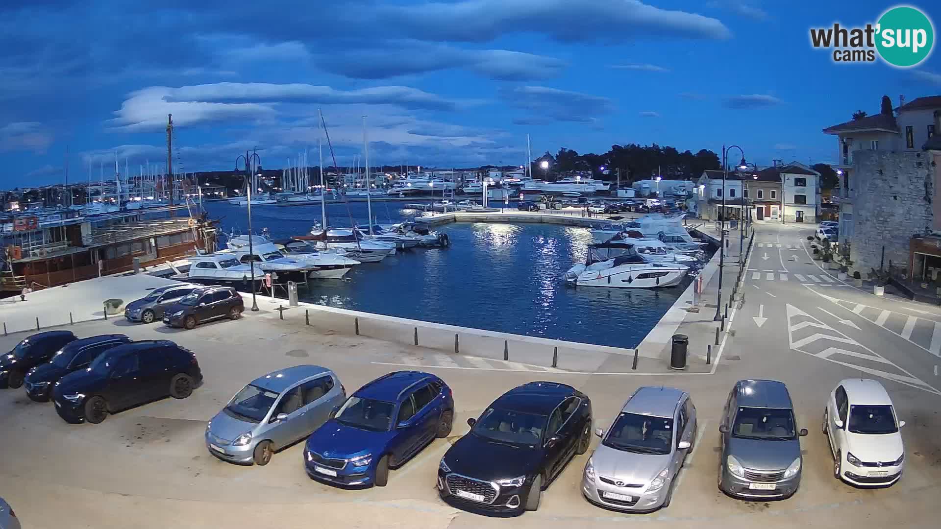 Novigrad | Porporela marina